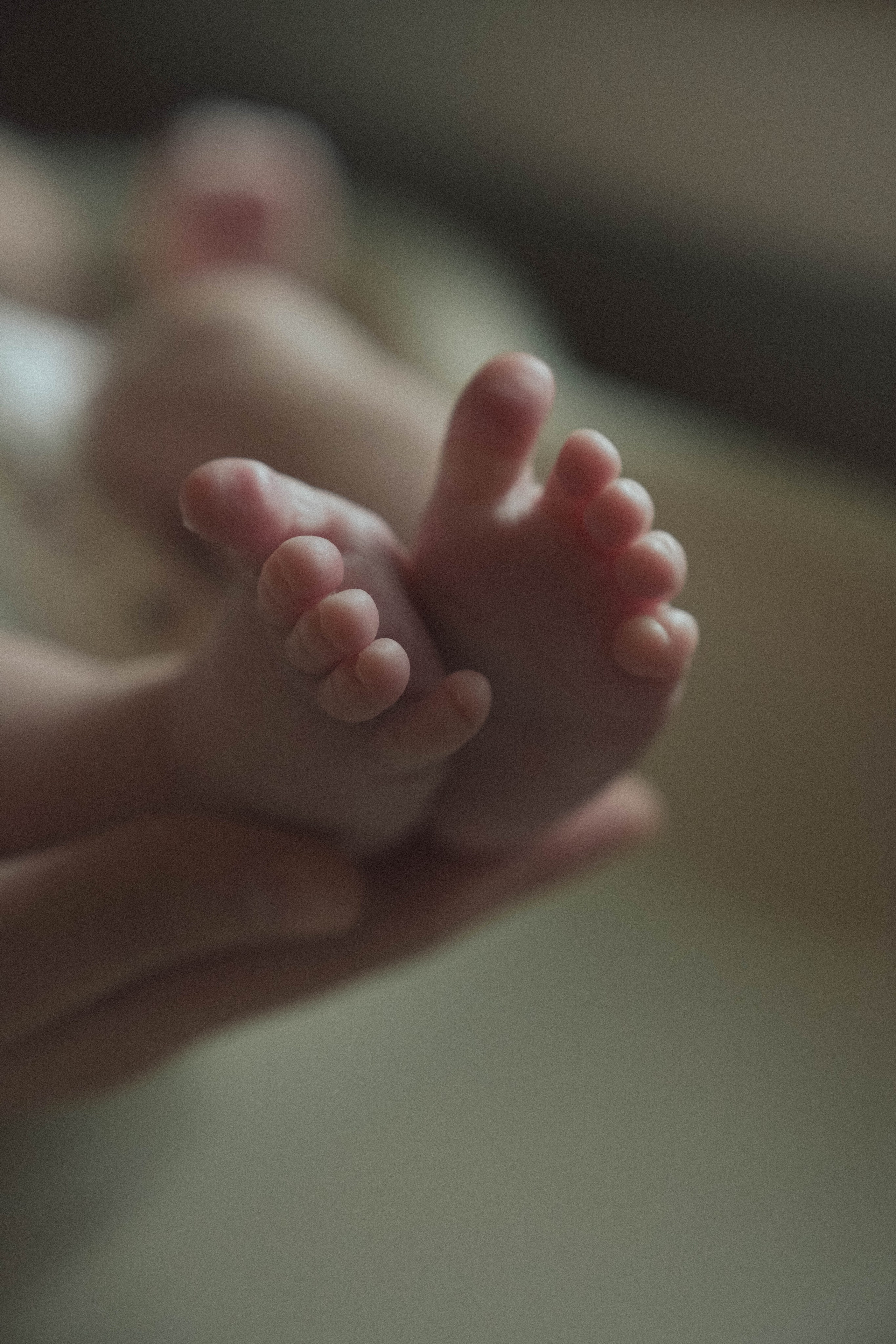 Newborn. Photographer & Videographer Ksu