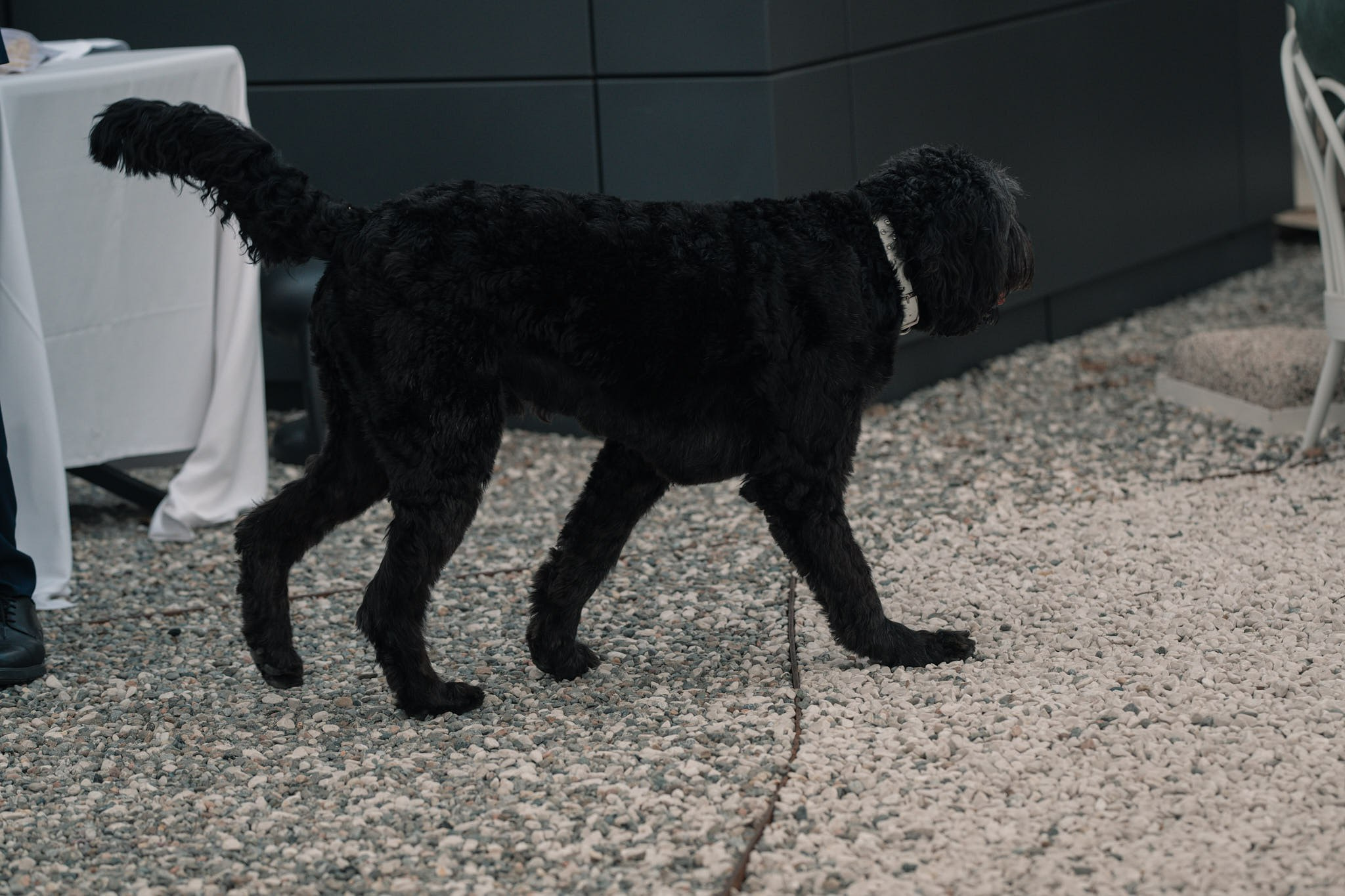 Roxie & Richard Wedding. Fotografo matrimonio Lago di Como Ferrari Media Production