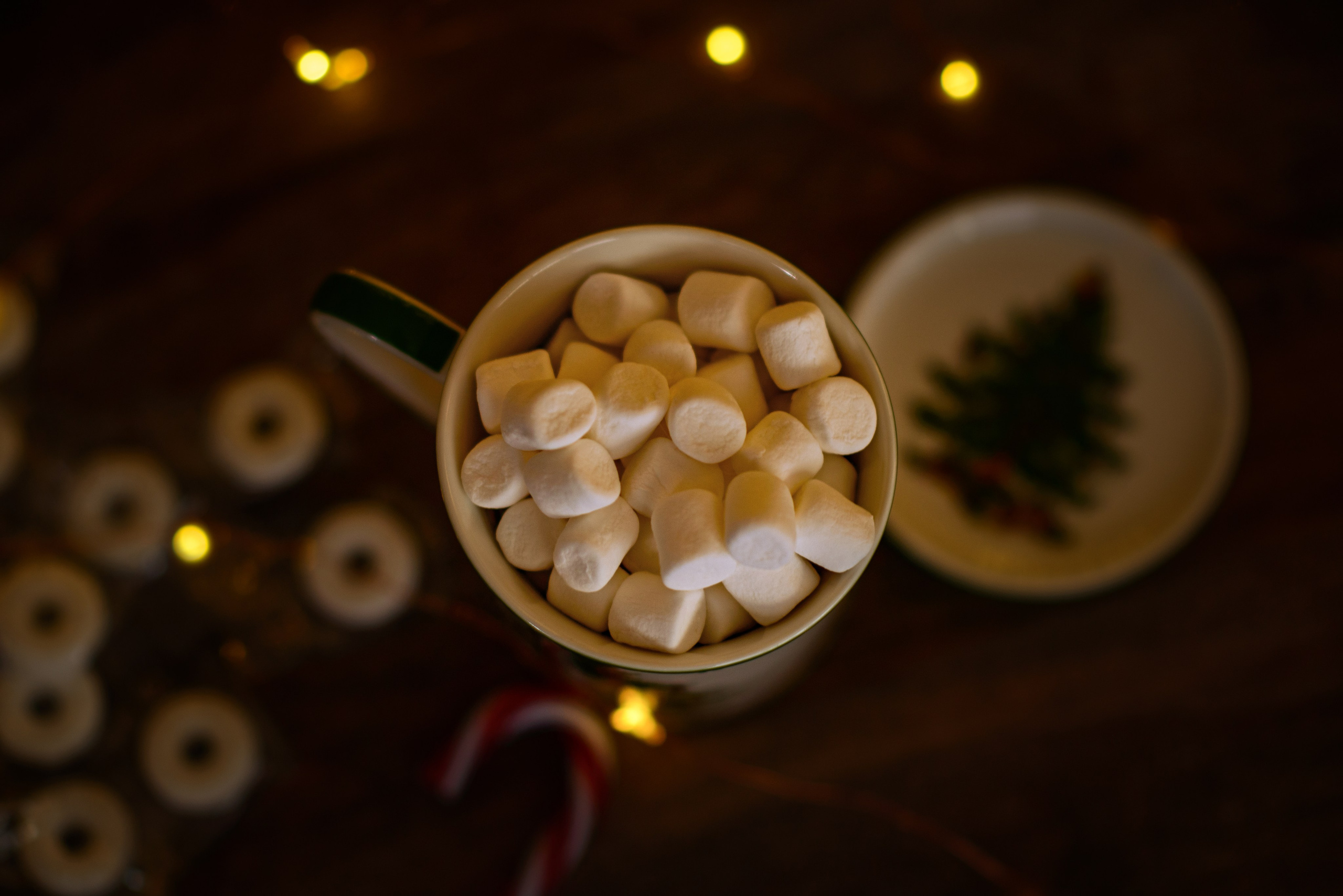 Christmas. Wedding & portrait photography in the Seattle Area. Helen Michelle photographer