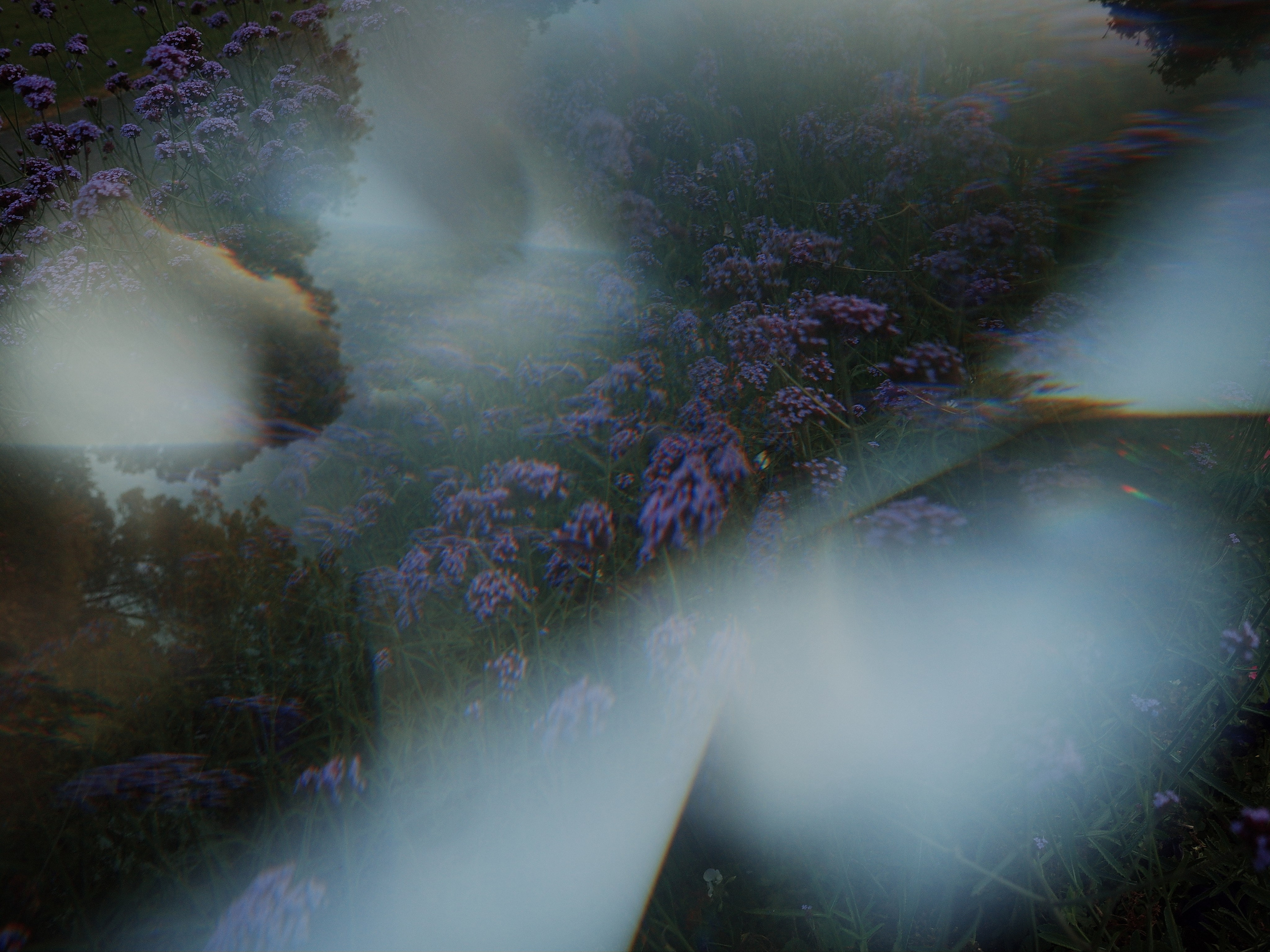 Garden of Forking Paths. Victoria Dini. Art photography in London / Folkestone, UK