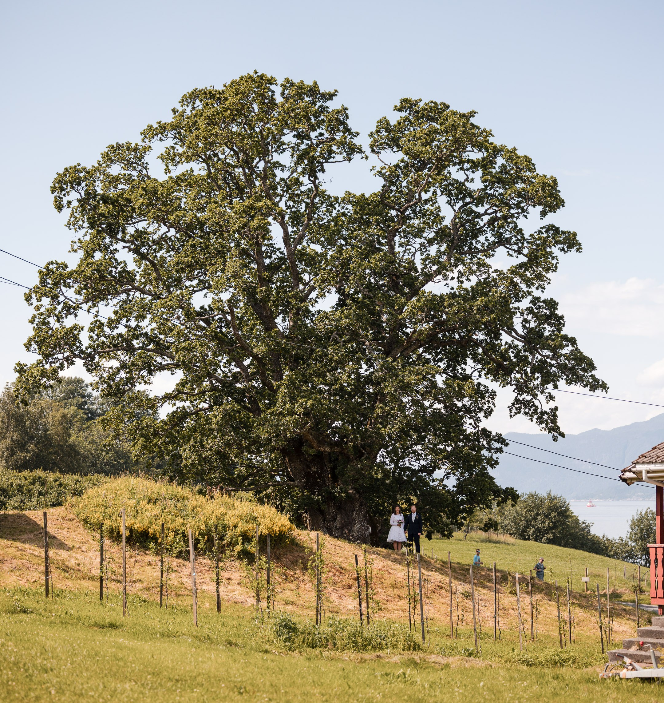 2025 - Bryllup - Kristine & Lars. Bryllupsfotograf i Oslo og Rogaland — Meisal Media