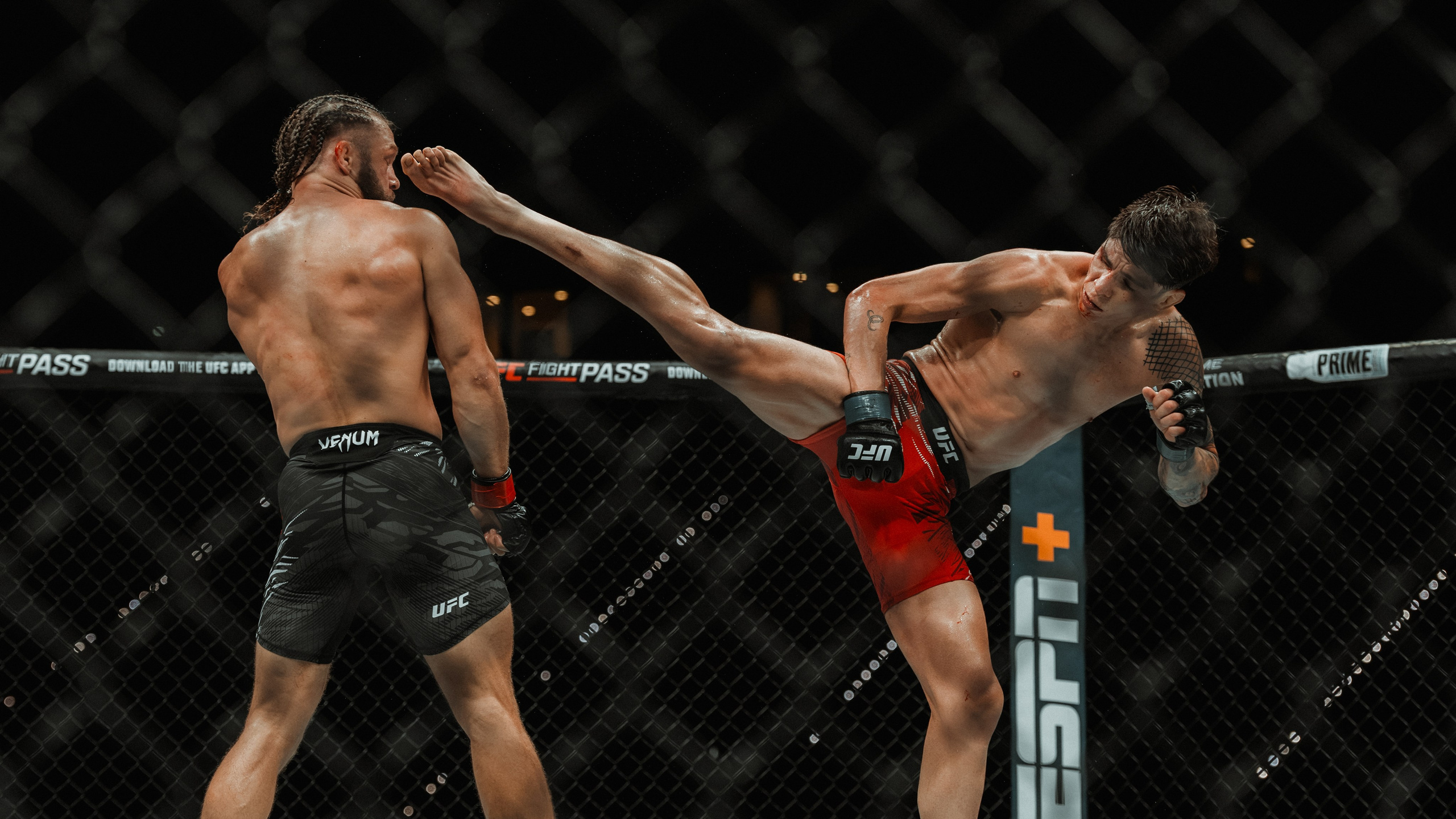 UFC. Commercial and Event photographer Eltaj