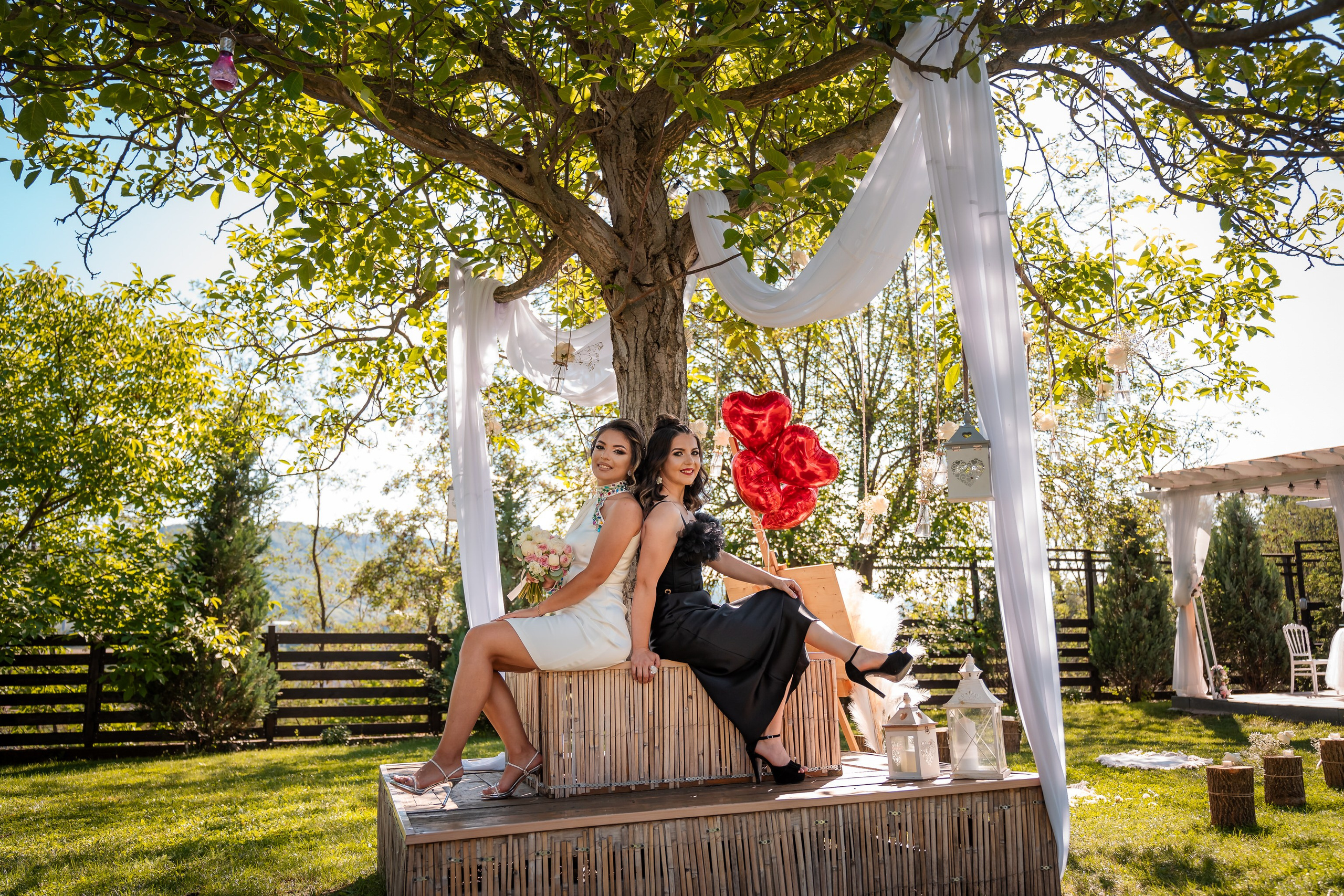 Cununie Mirela & Carol