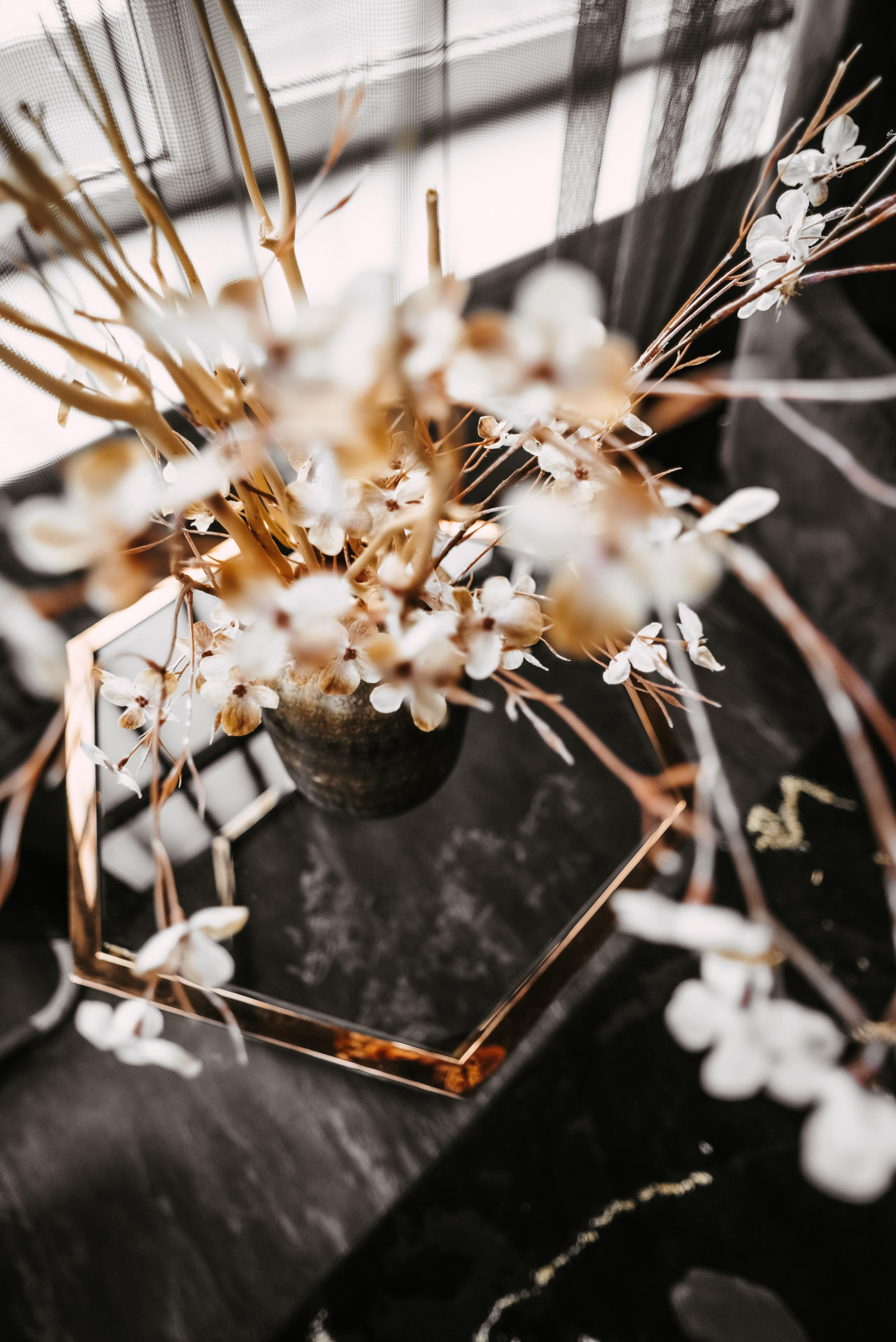 Foto un Video satura studija Rīgā - BRAND STUDIO. Video shooting and creating with phone, iPhone Video School