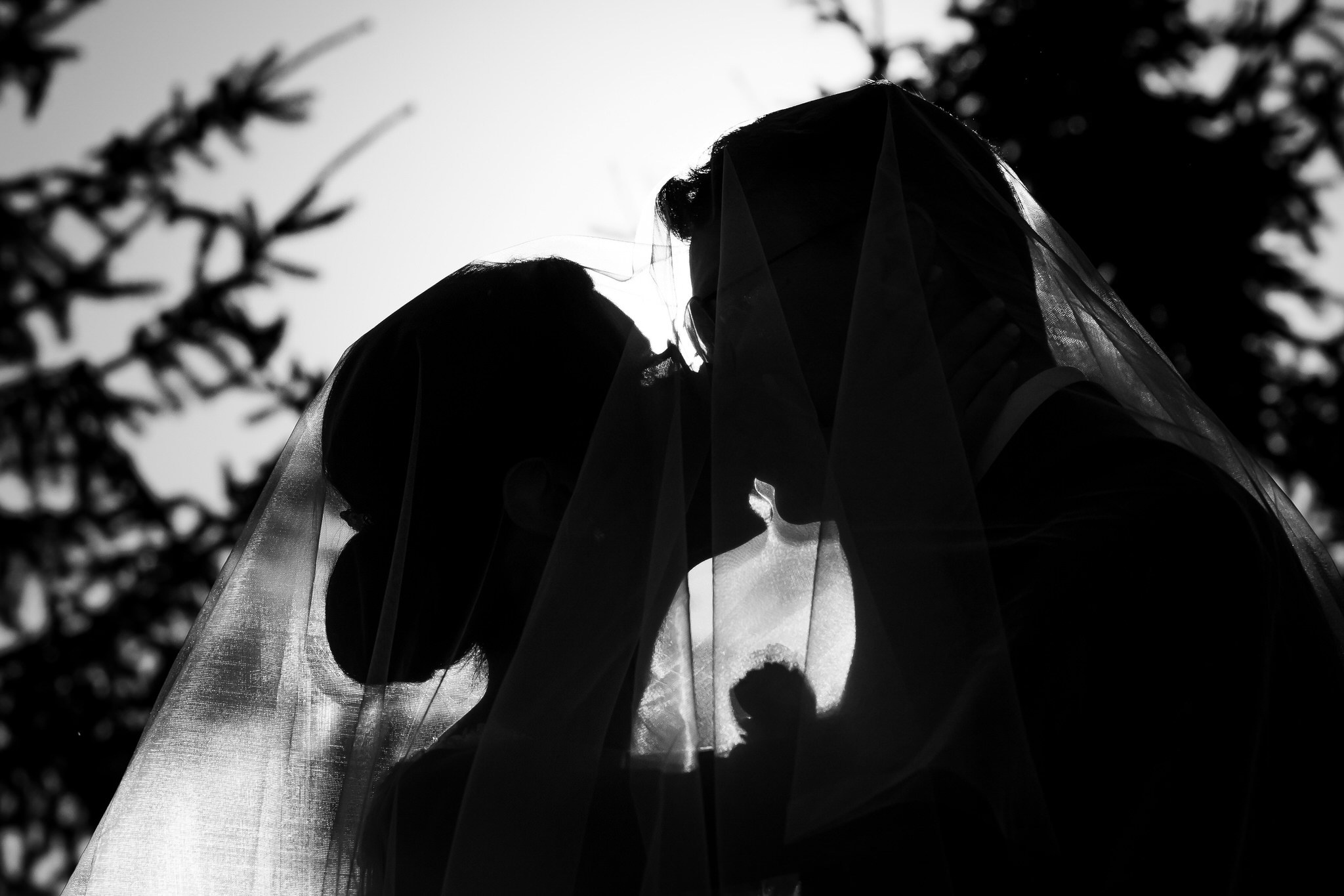 Nunta Laura & Cosmin. Focus Studio Buzau