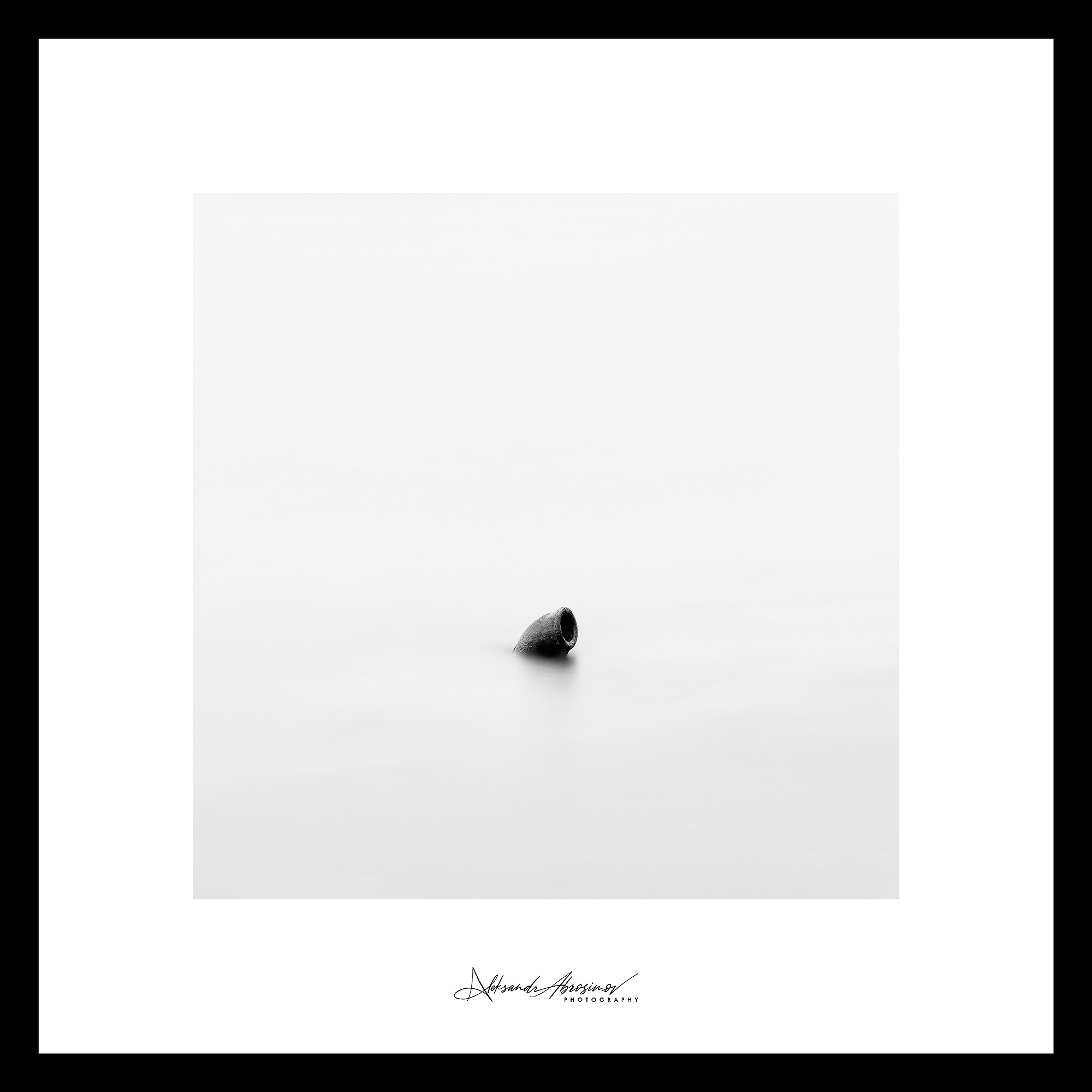 Art. Aleksandr Abrosimov Photography