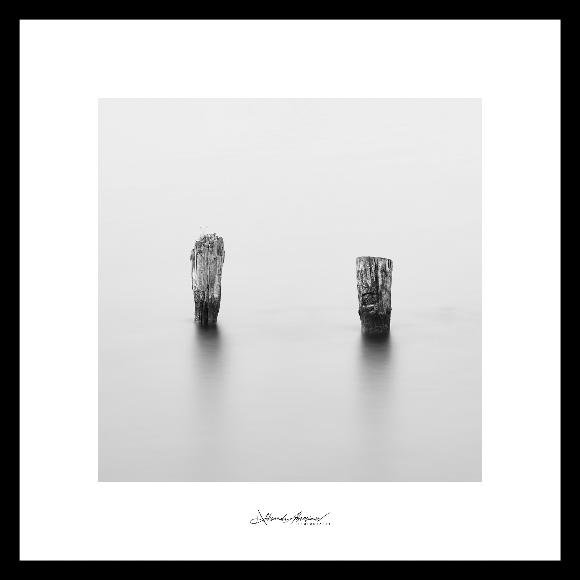 Art. Aleksandr Abrosimov Photography