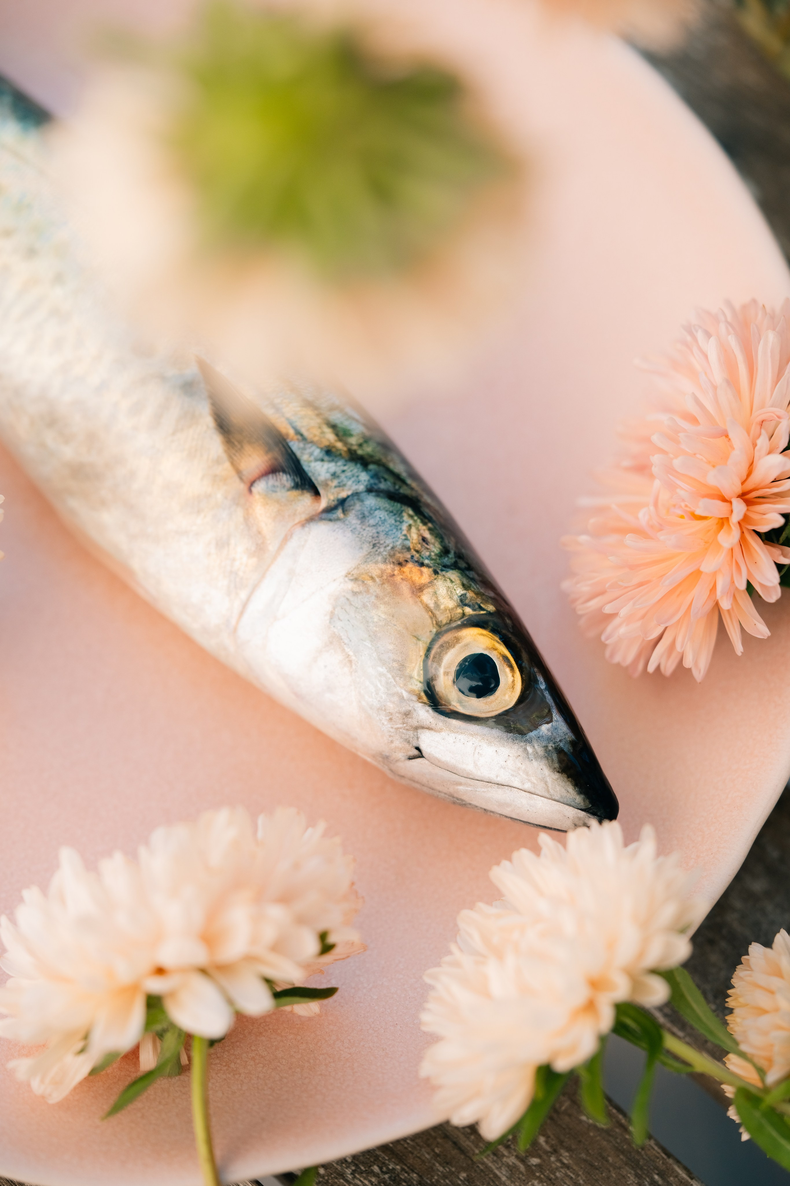 Свежая скумбрия с декоративными цветами на розовой тарелке. Свежая скумбрия выложена на нежно-розовую тарелку, украшенную нежно-розовыми цветами.