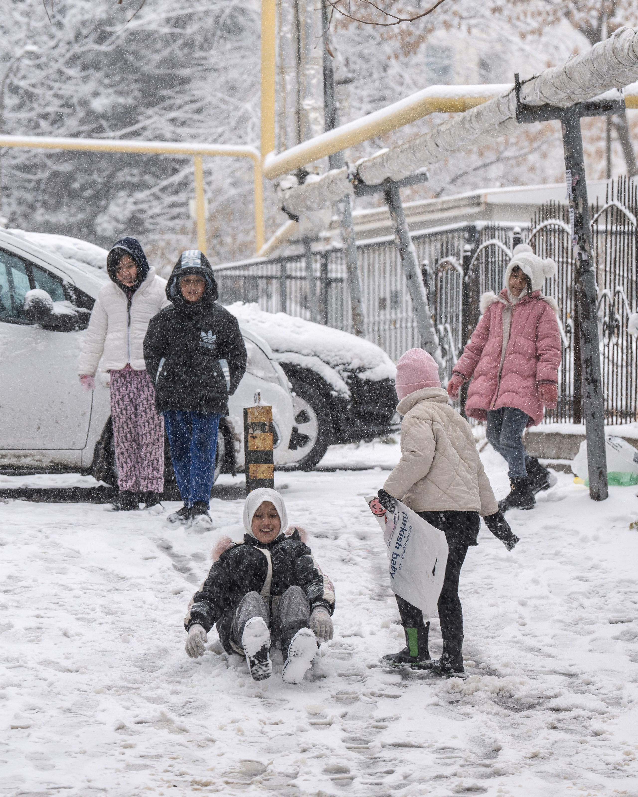 Снег. Георгий Намазов | Фотограф в Ташкенте