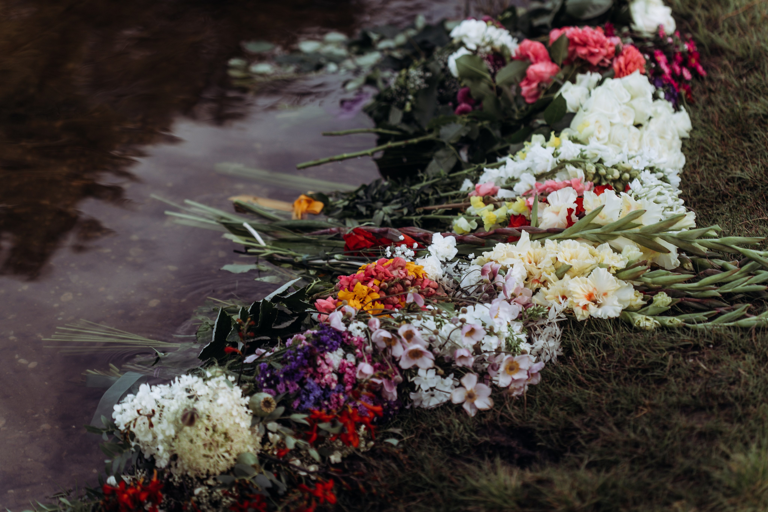 Wedding ceremony Agnese &Aleksandrs. Sandra Garanca Portrait and event photographer