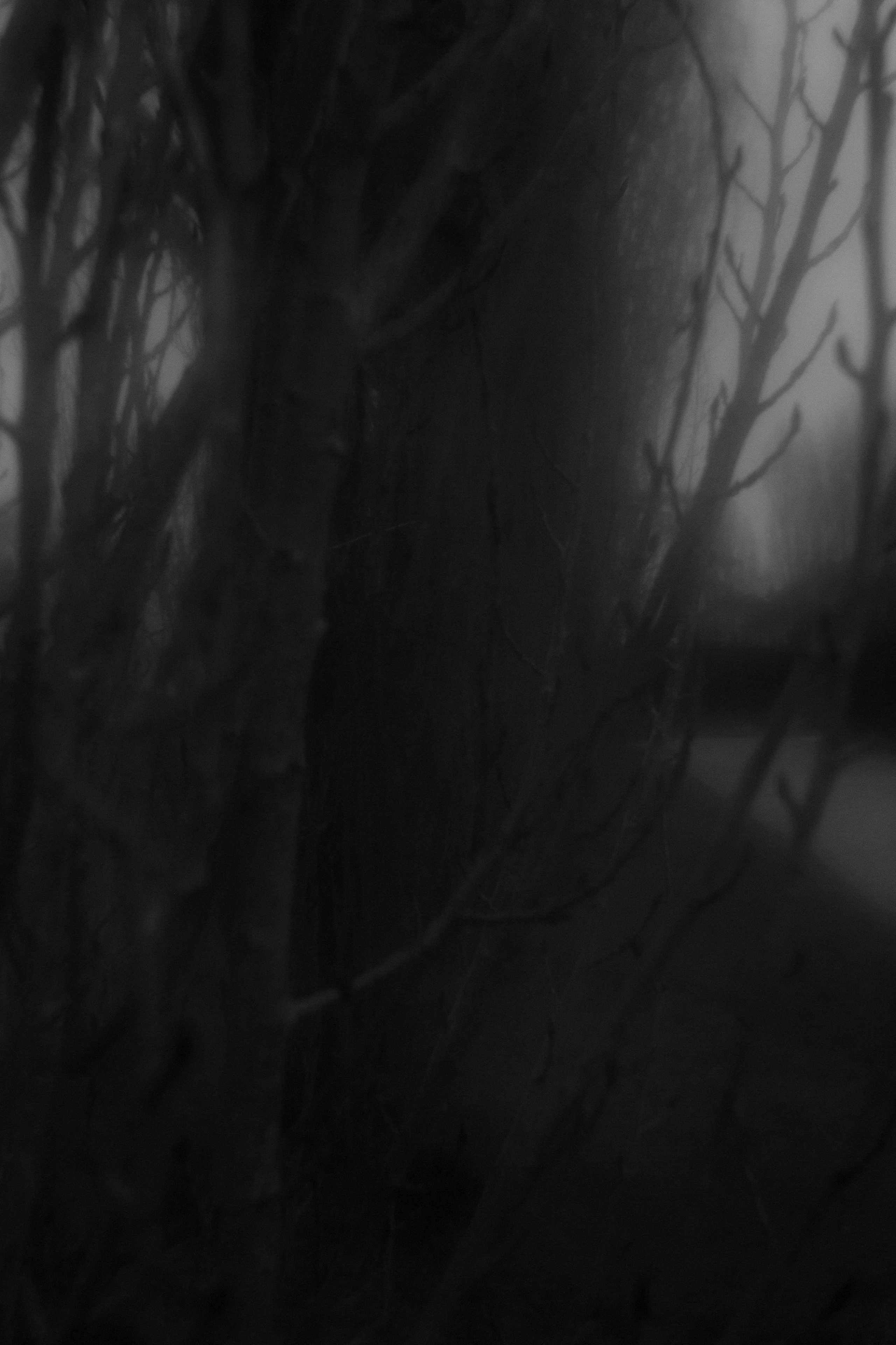 Монокль 50. Anastasia Shapoval violoniste et photographe. Annecy — Geneve