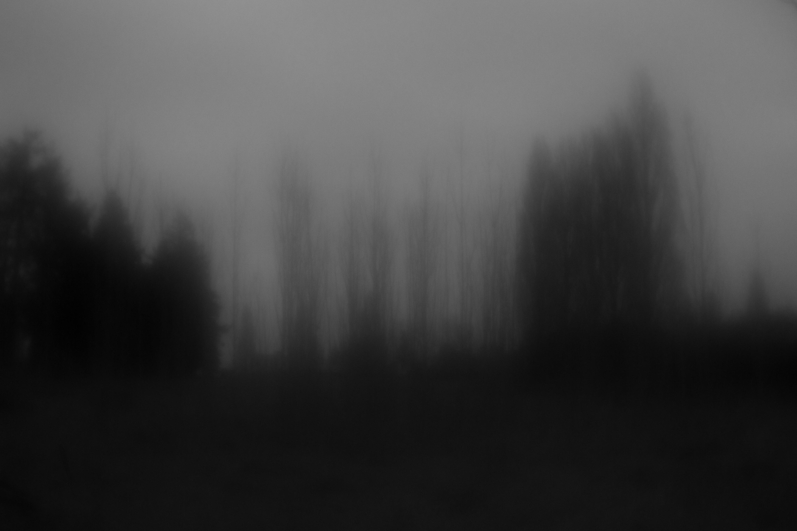 Монокль 50. Anastasia Shapoval violoniste et photographe. Annecy — Geneve