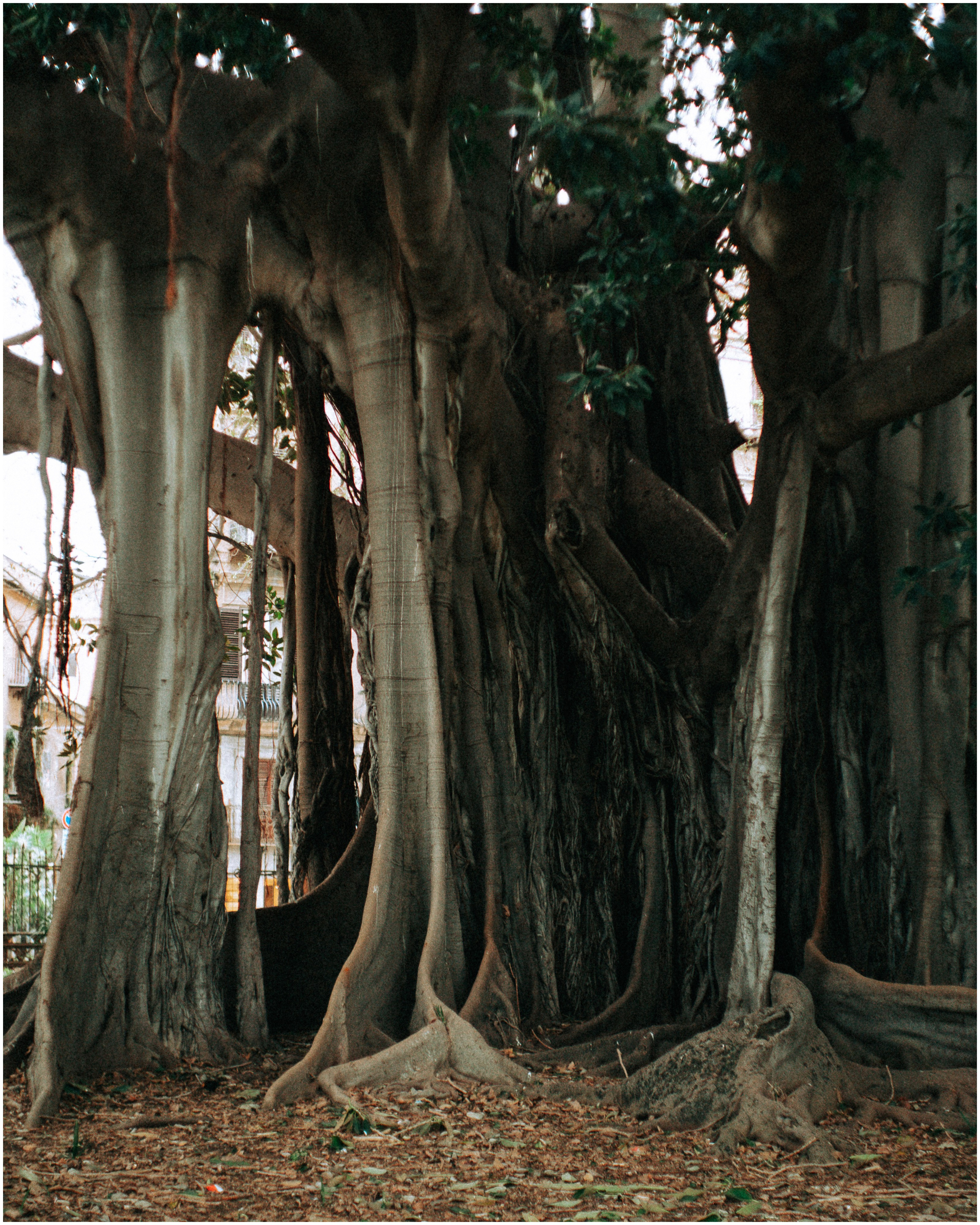 PALERMO. Photographer Inna Mendelson