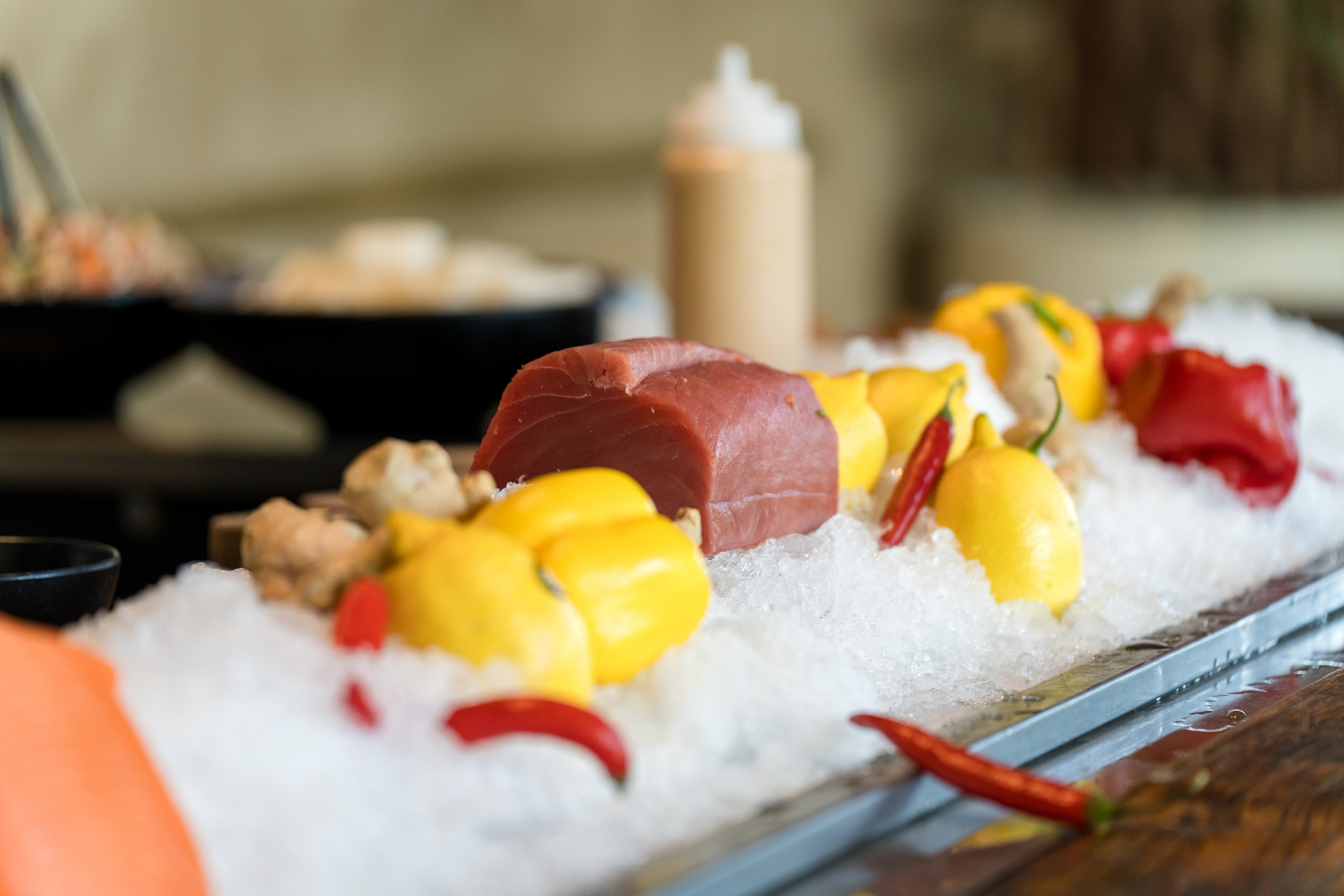 Hadar & Tor. AMIR BUCHNIK PHOTOGRAPHER