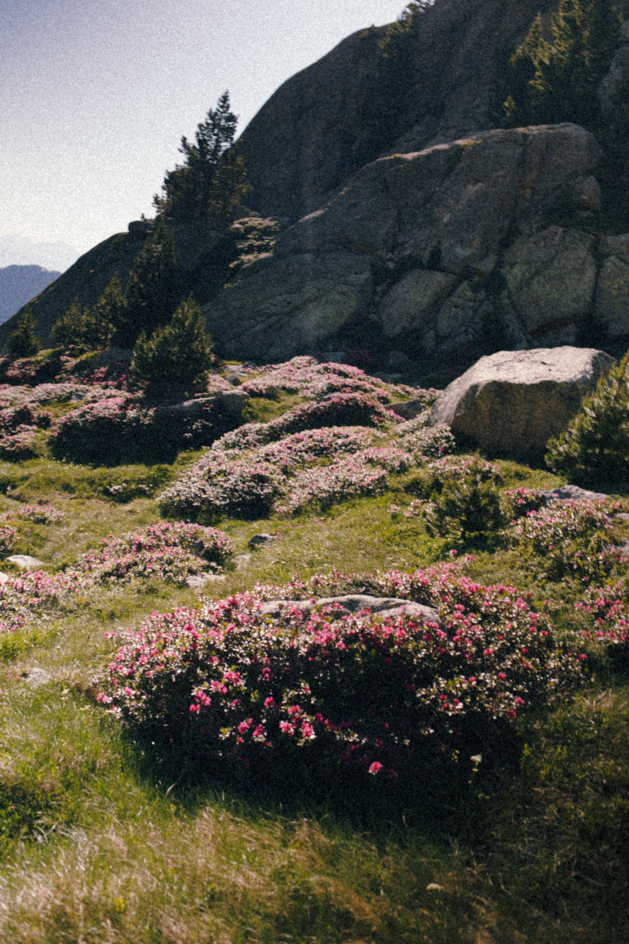 Fotografía del Refugio JM Blanc – Valle de Peguera, Pirineos. Marina Kálcheva – Photographer & Visual Artist in Barcelona
