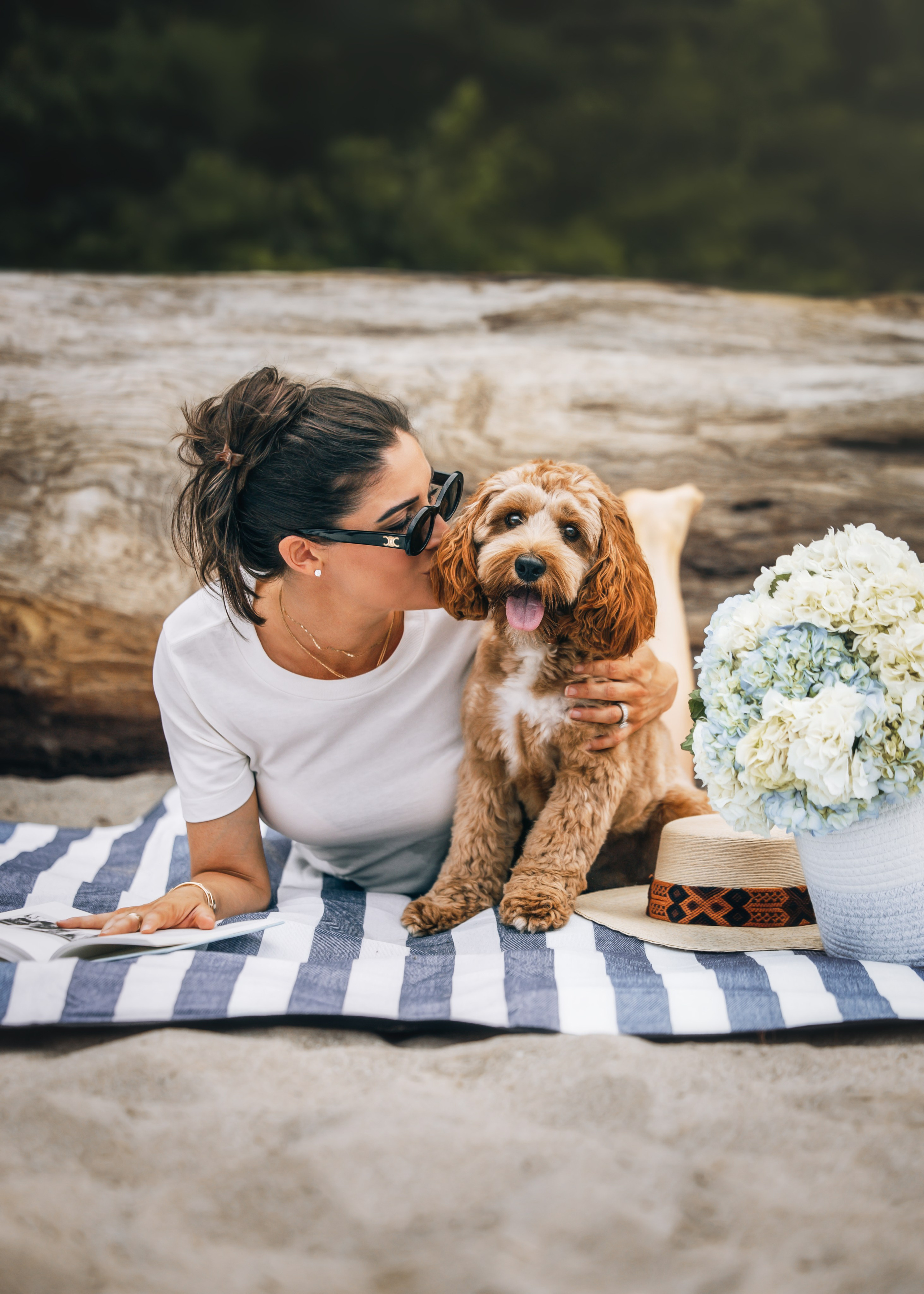 Howie & Callie. Pet Photographer Viktoriya Aleshenko
