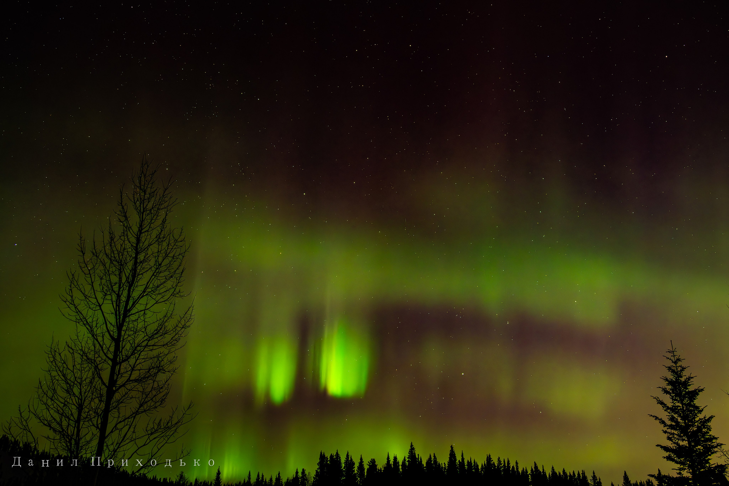 Danil Prikhodko Photography