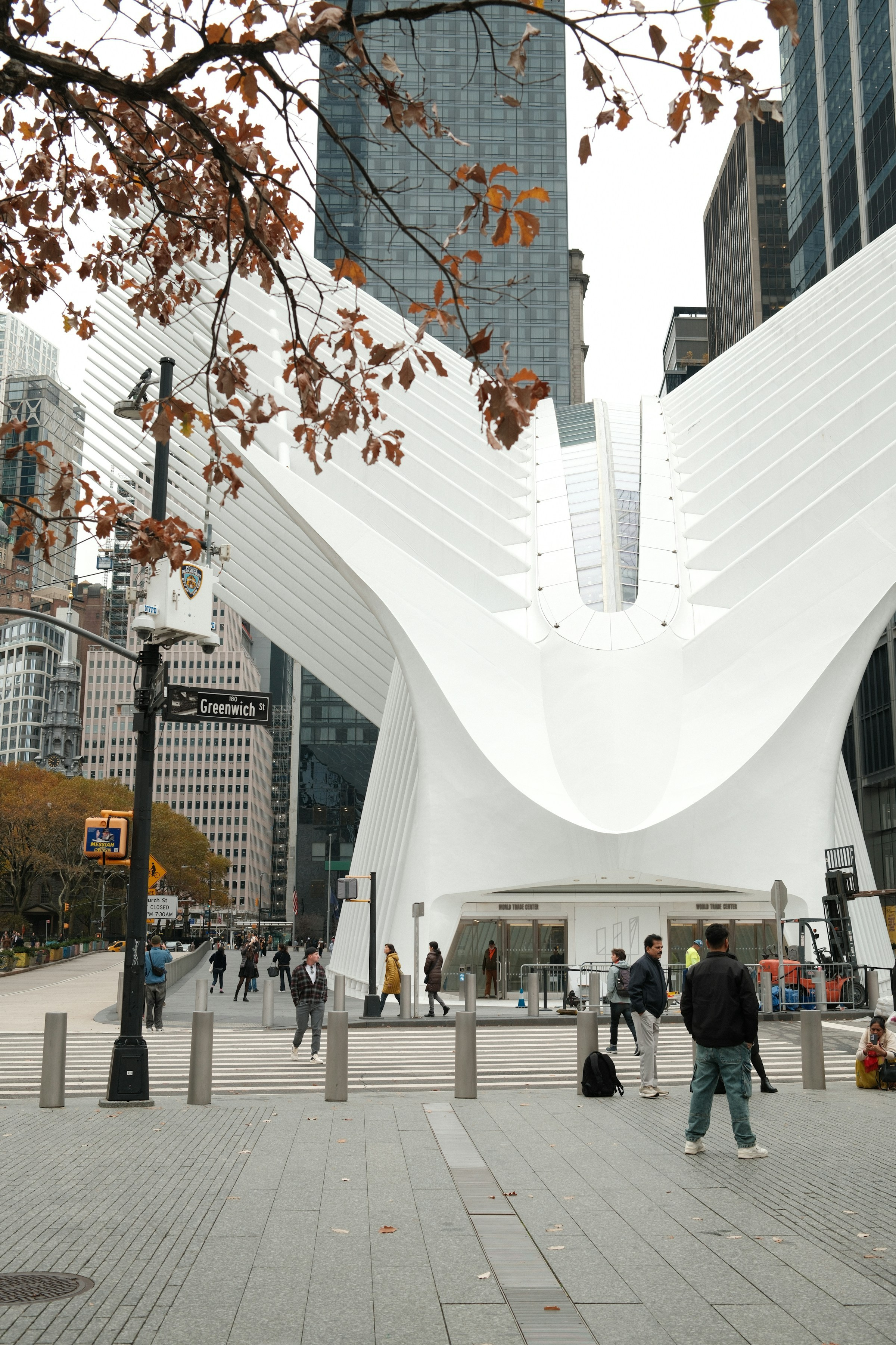 Urban. Stargazing Production