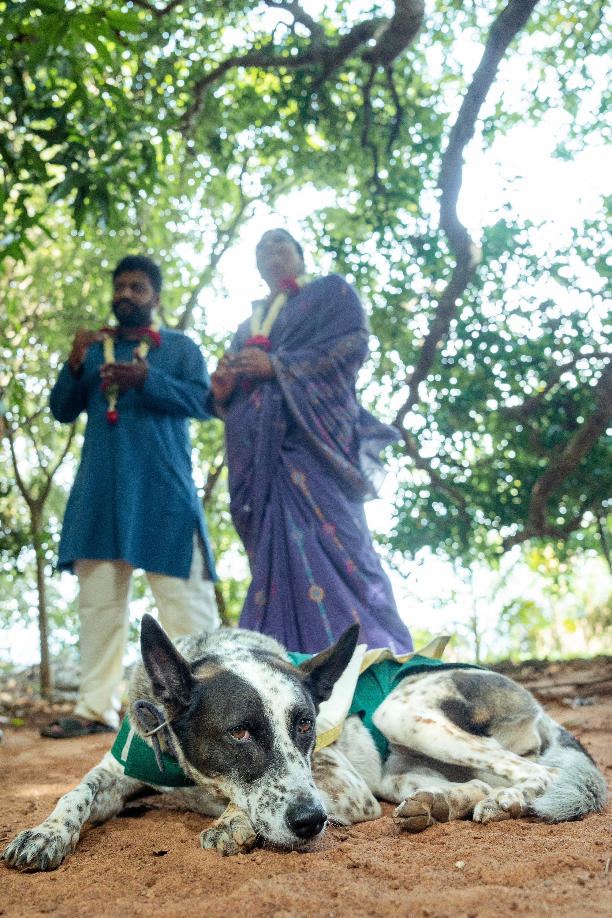 Shraddha & Sumukha, Mantra Mangalya Wedding under a Mango Tree, Red Earth Kabini | Truly Yours