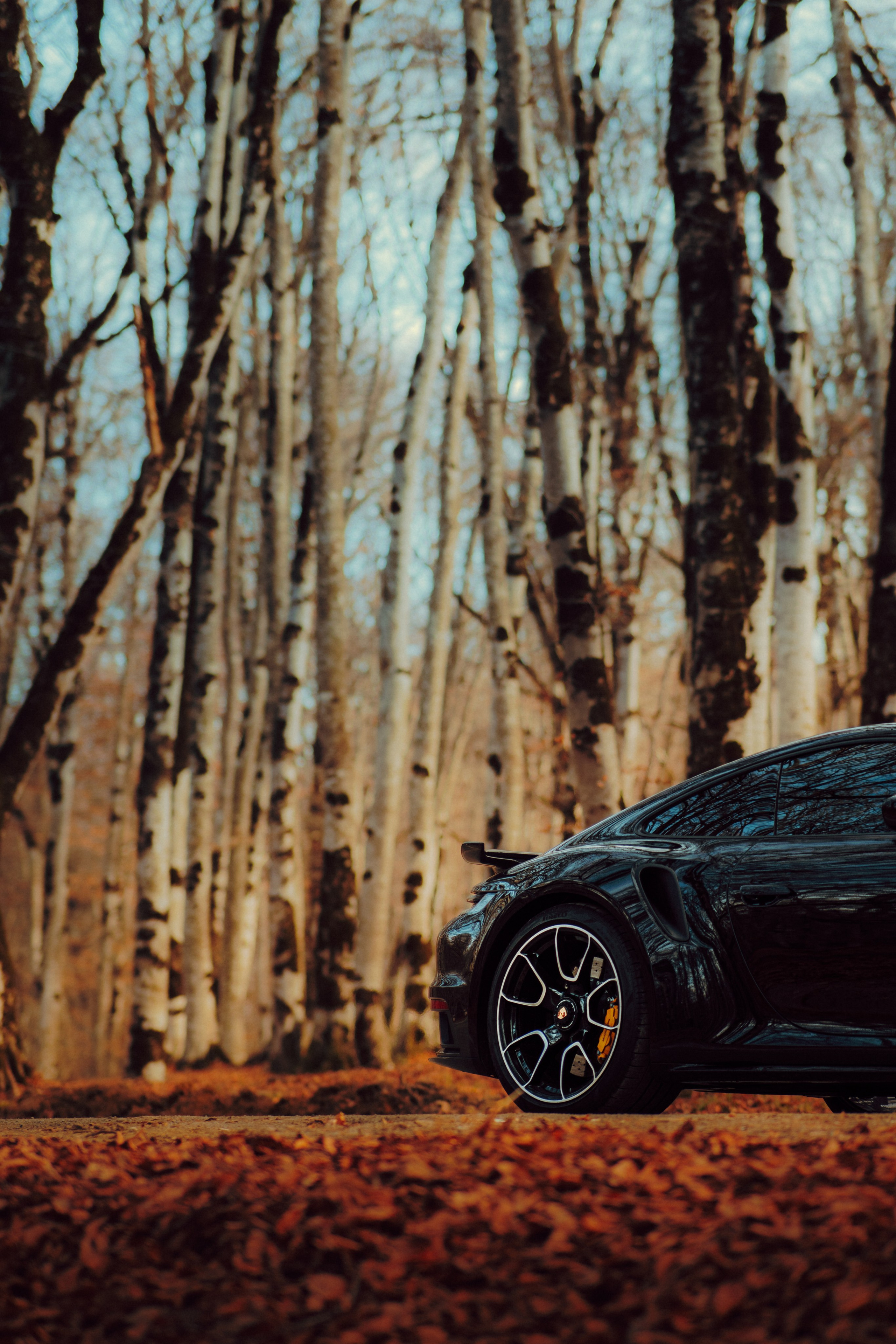 Porsche. Merabi Eminashvili