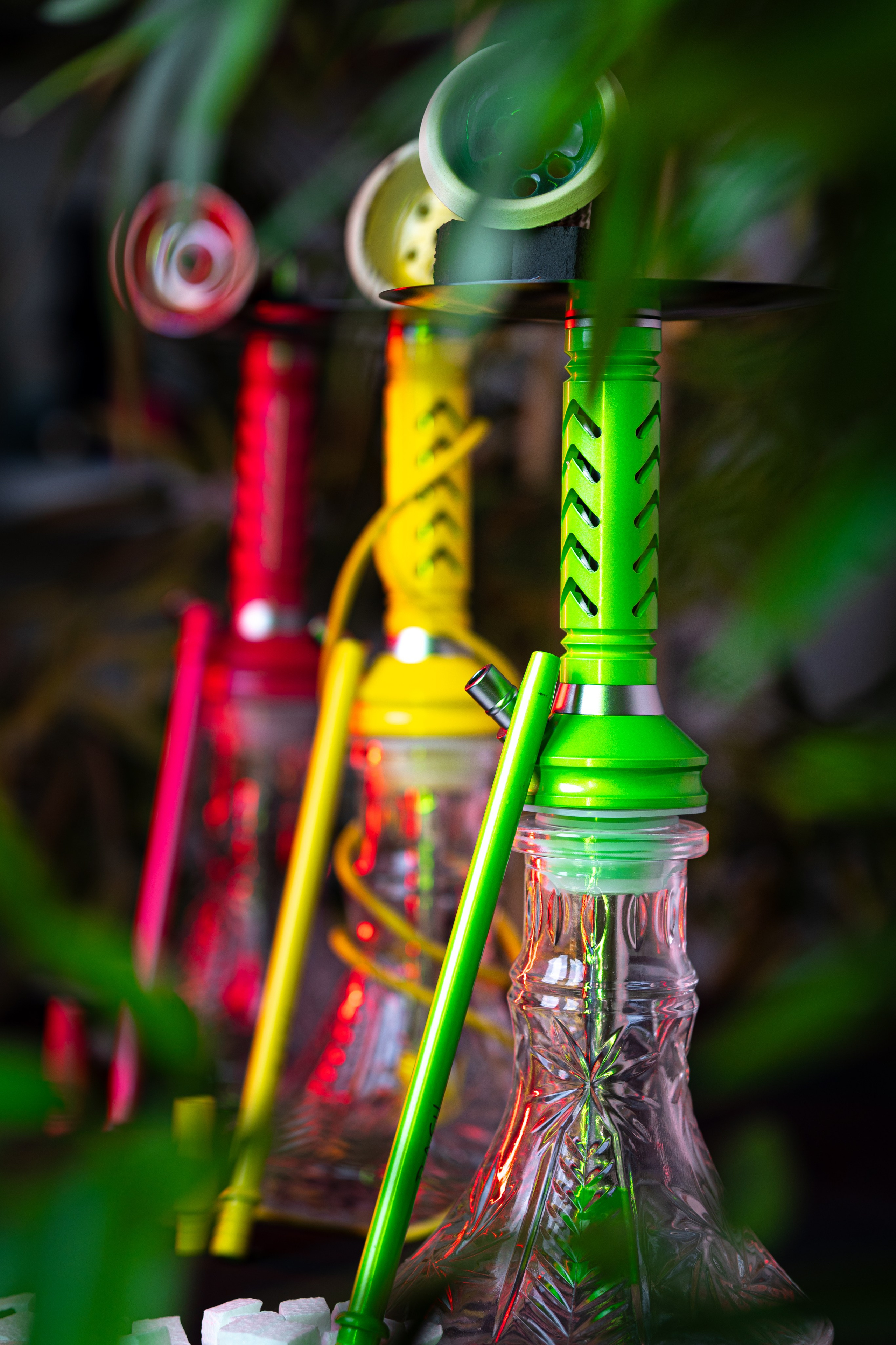 Cachimbas. Baby Beast