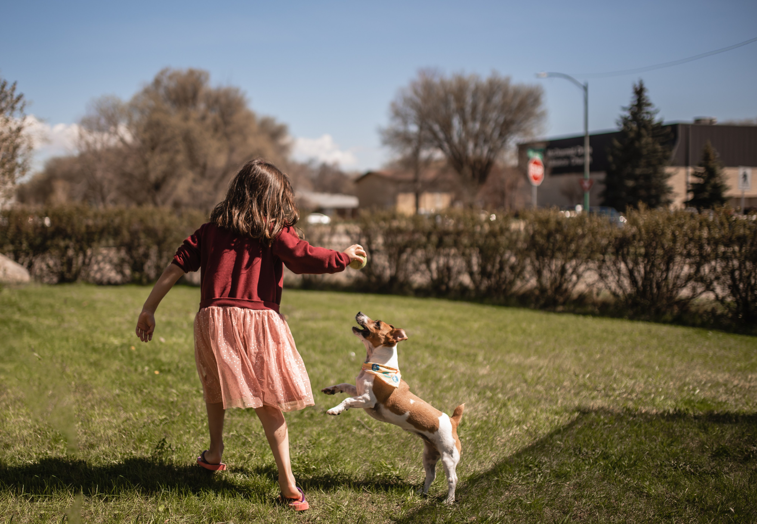 Sessão Personalizada | Ensaio sob Medida — Auê Fotografia Juiz de Fora. Auê | Fotografia Infantil