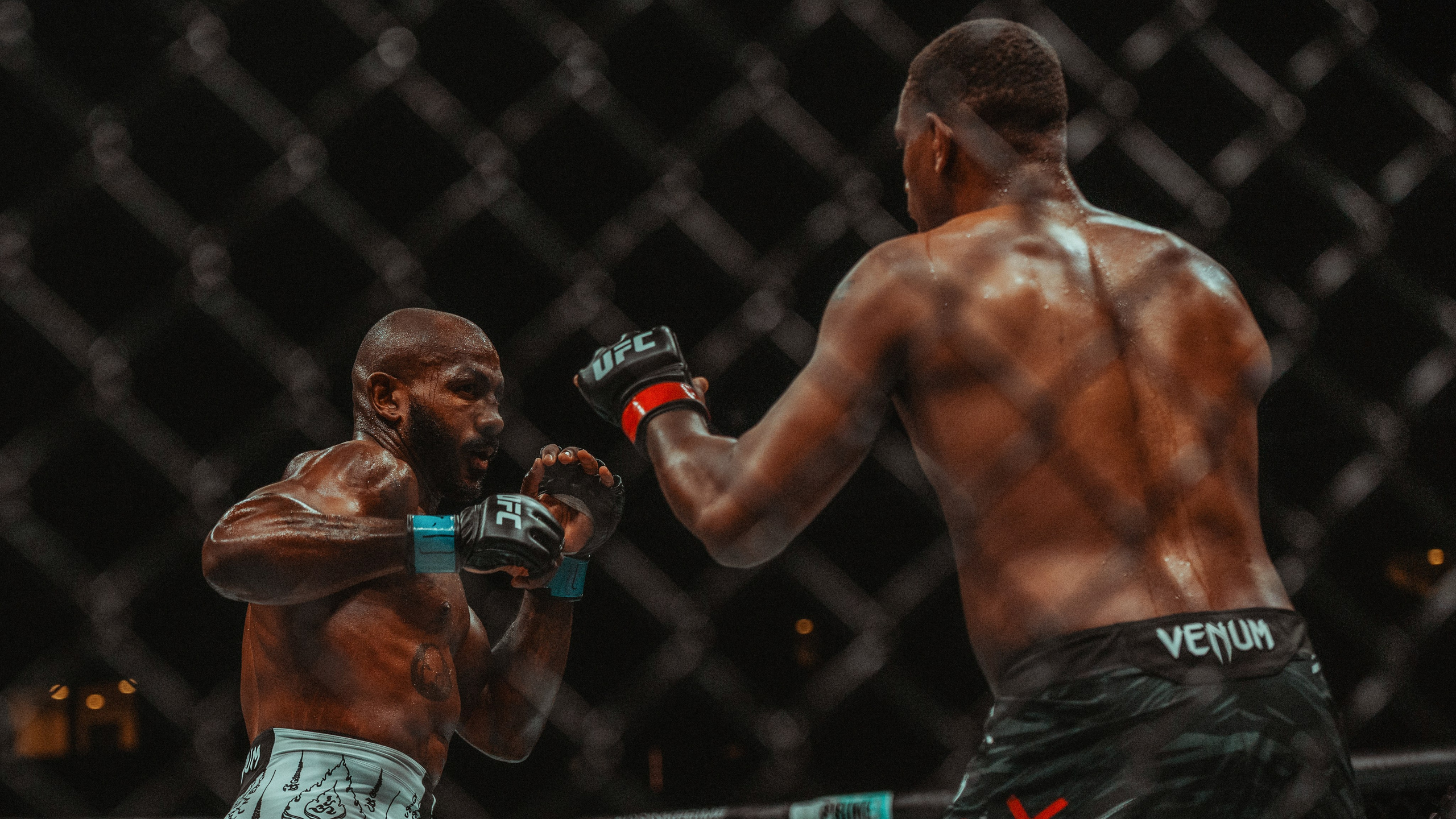 UFC. Commercial and Event photographer Eltaj