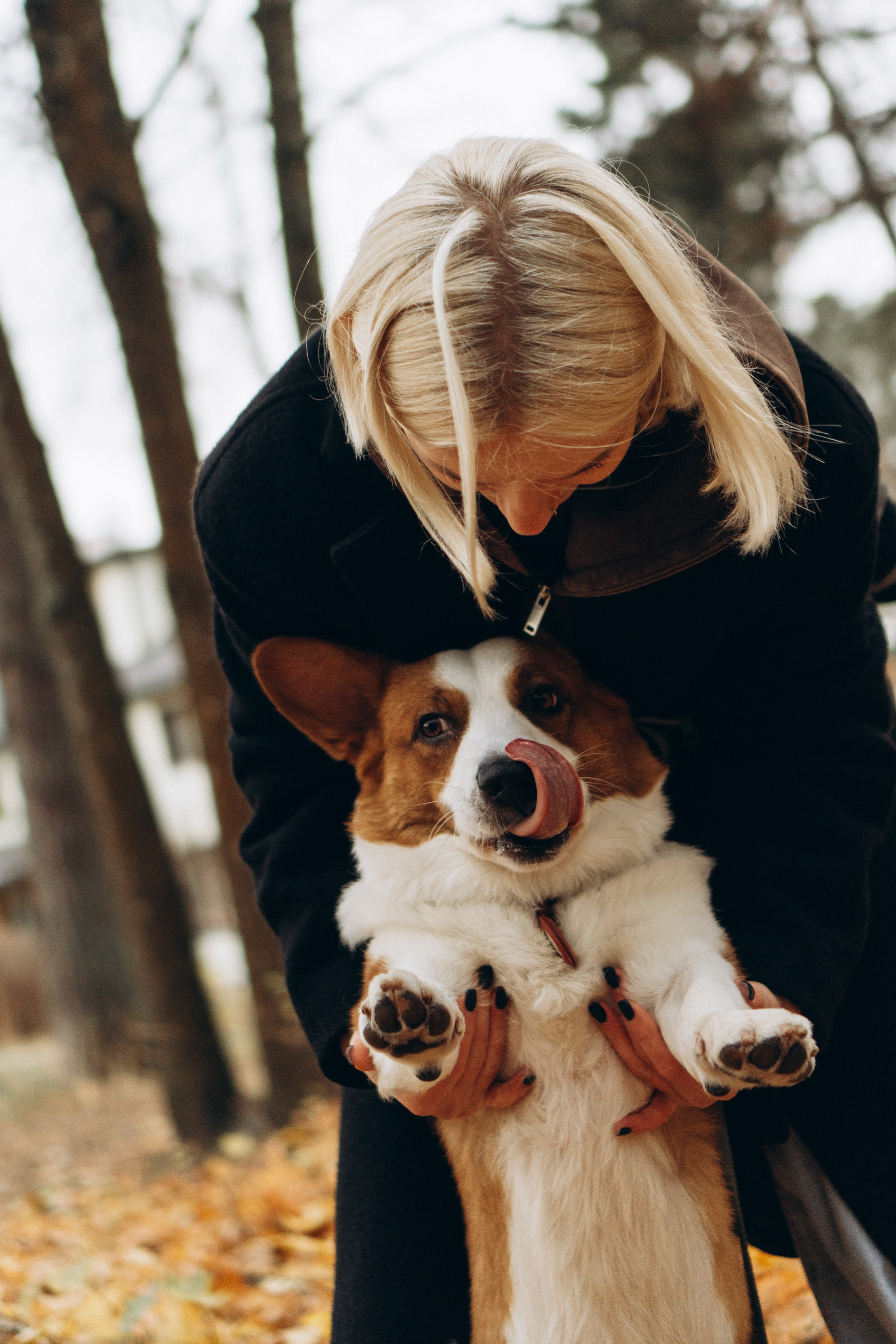 Jelena and her Sandy, Pug and Katja and her Safiir, Cardigan Welsh Corgi. Kat Laisaar — Pet photographer in Tallinn