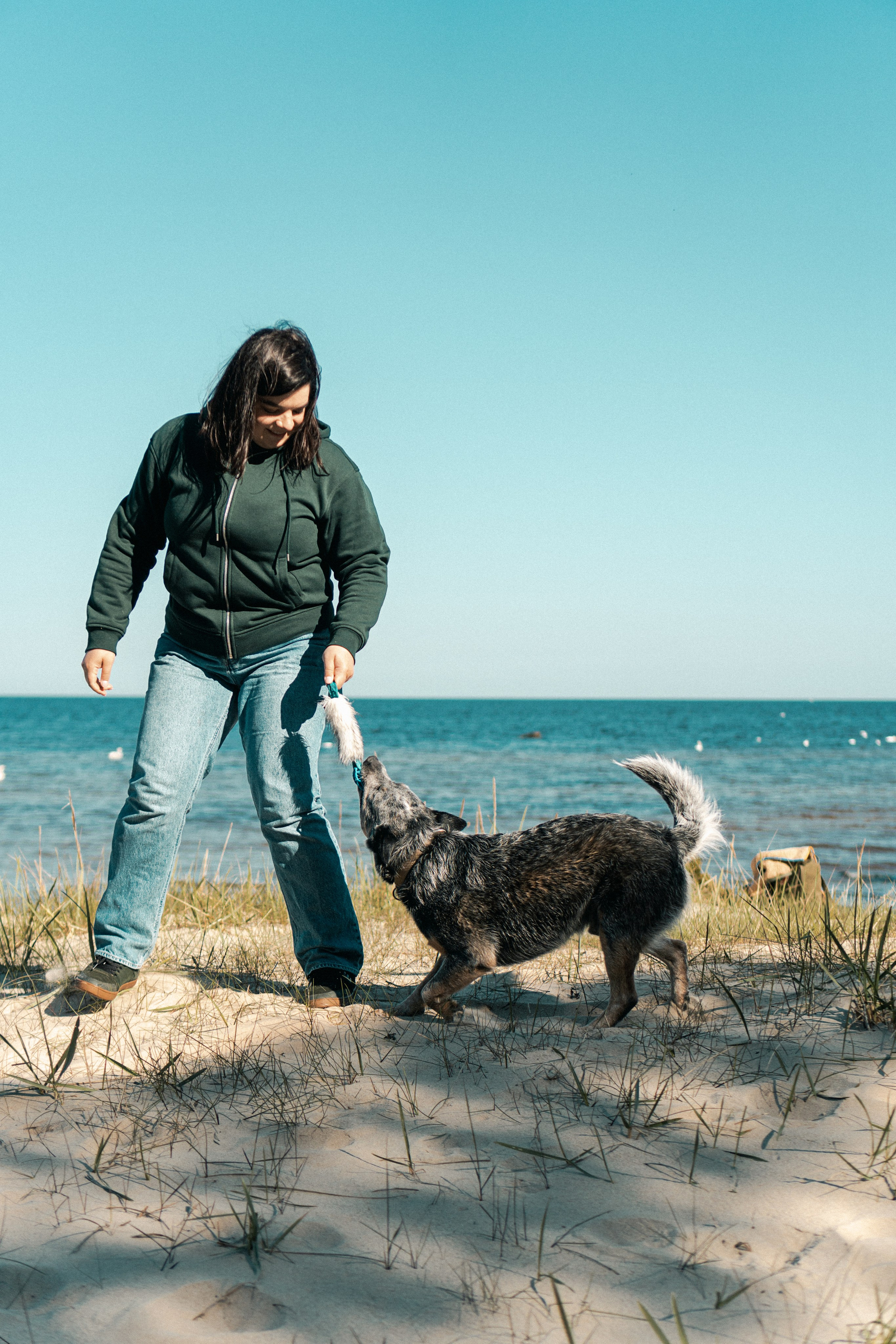 Oskar, Maria & Dmitrii. Kat Laisaar — Pet photographer in Tallinn