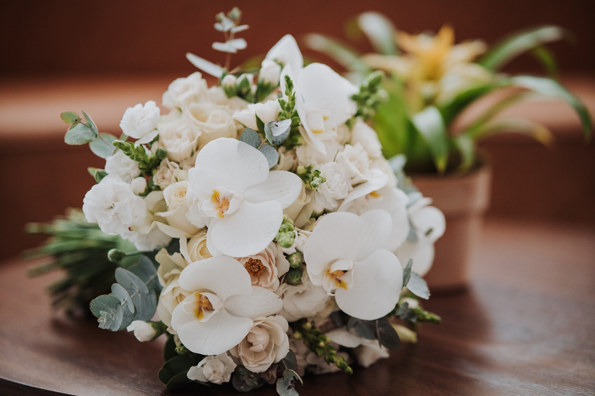 Casamento Lana e Rodrigo. Início