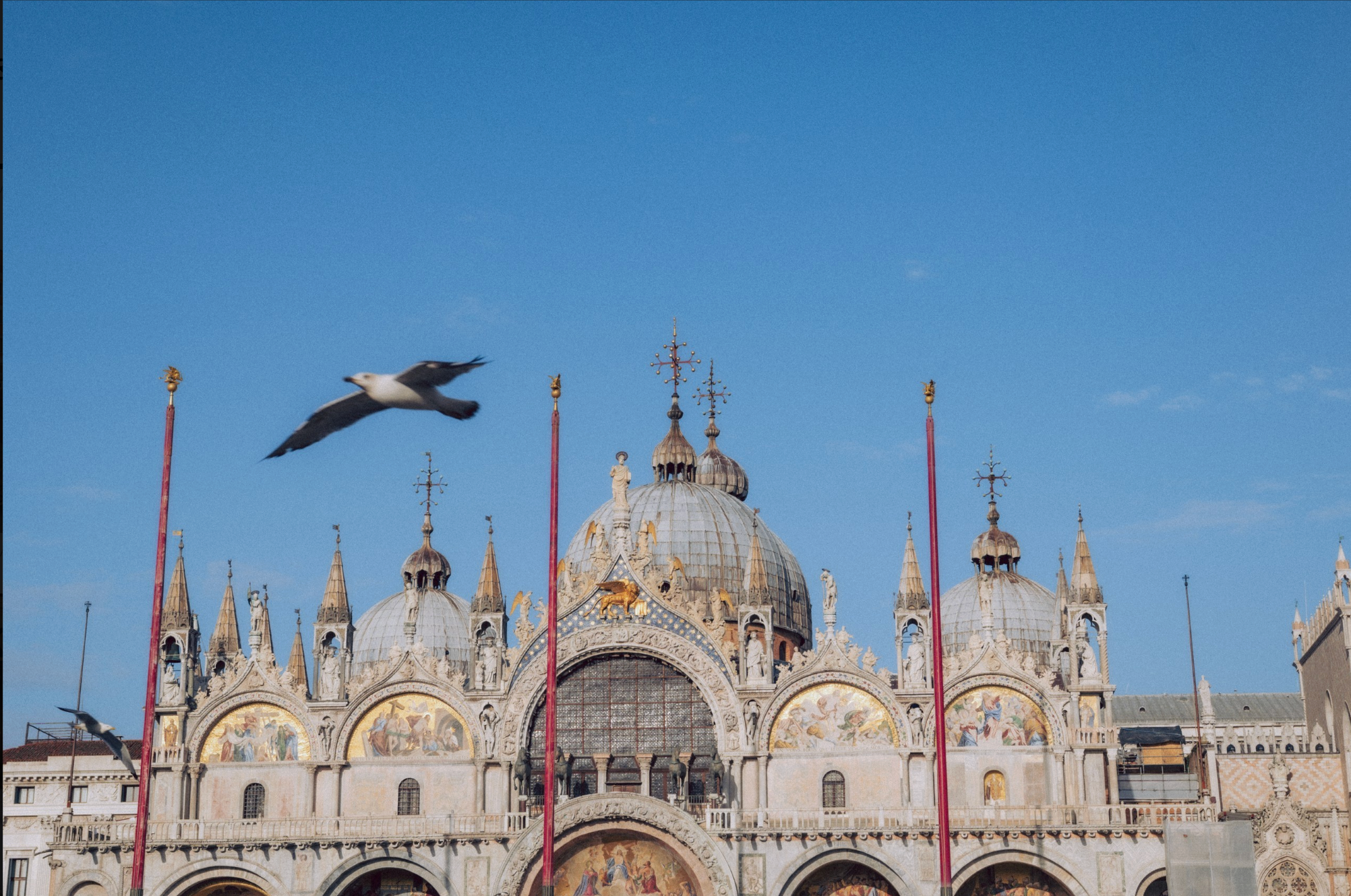 Fall in love with Venice. AnaMilanoFoto Fotografa Milano