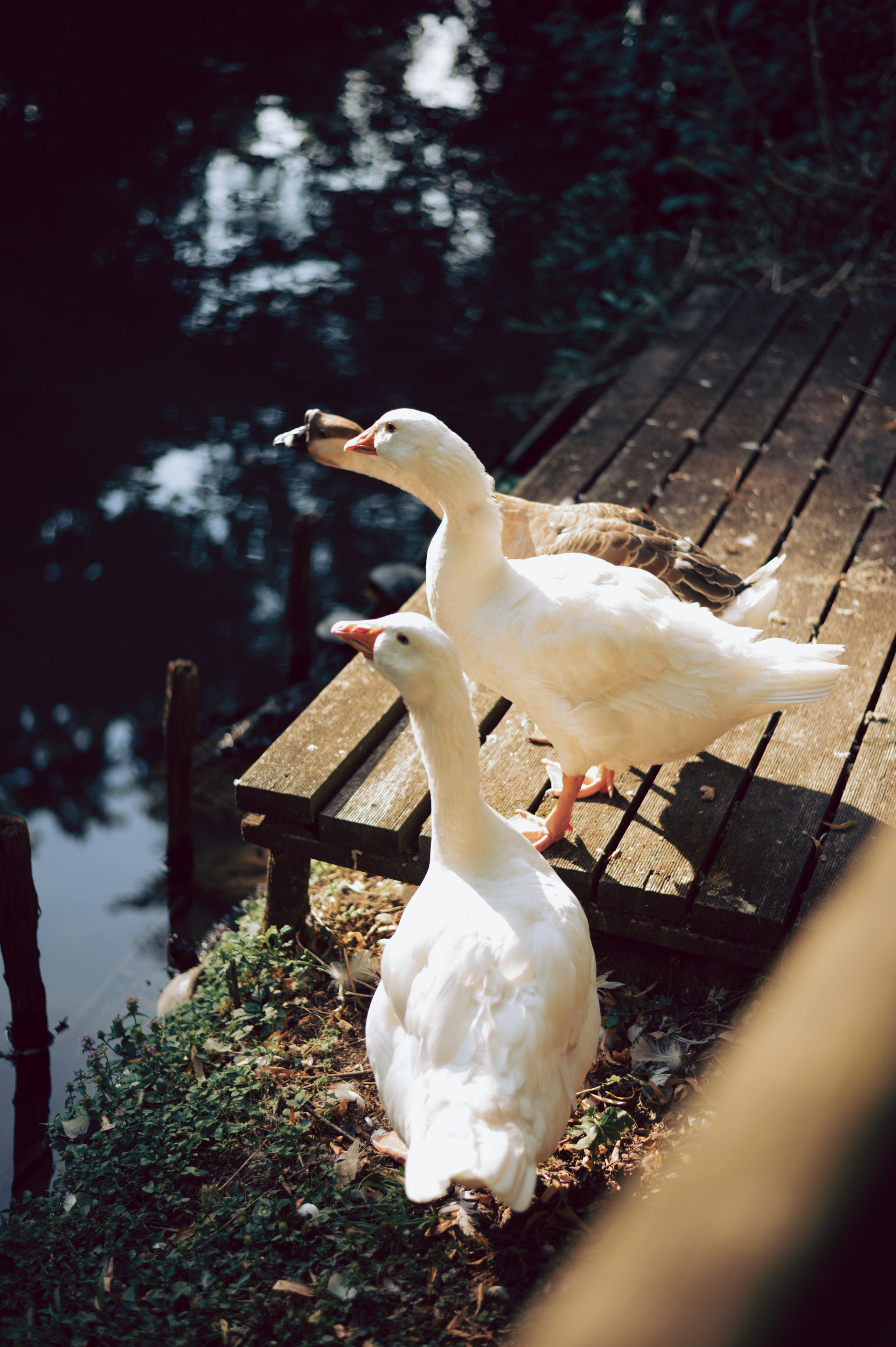 Summer love story in Milan. AnaMilanoFoto | Couple & Wedding Photographer in Milan