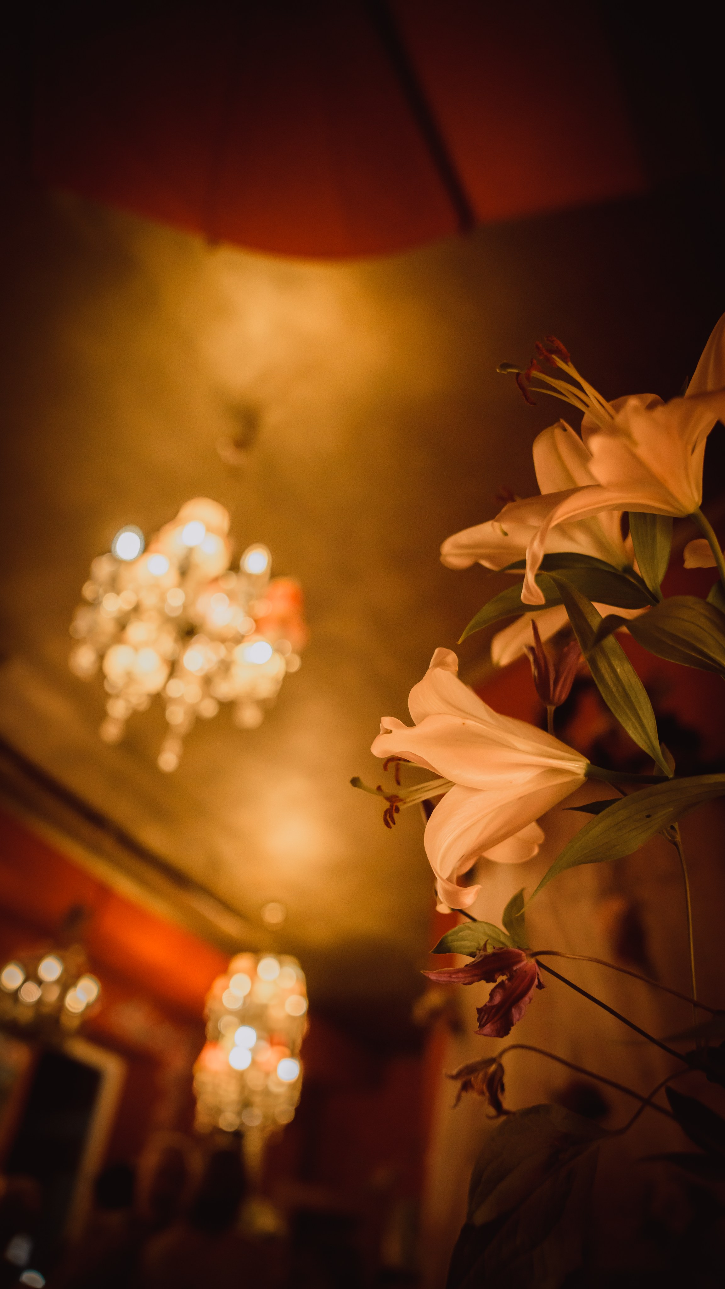 #TANGOphotography by Vera Maxin