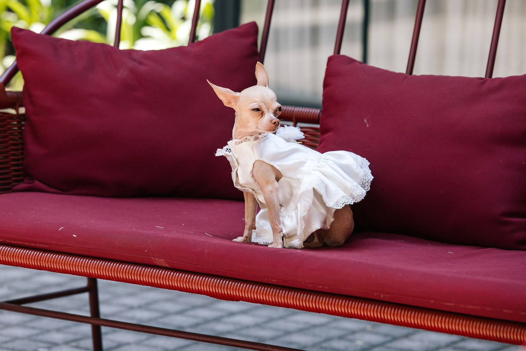 Galería Getting Ready. Jorge Romero Fotógrafo de bodas