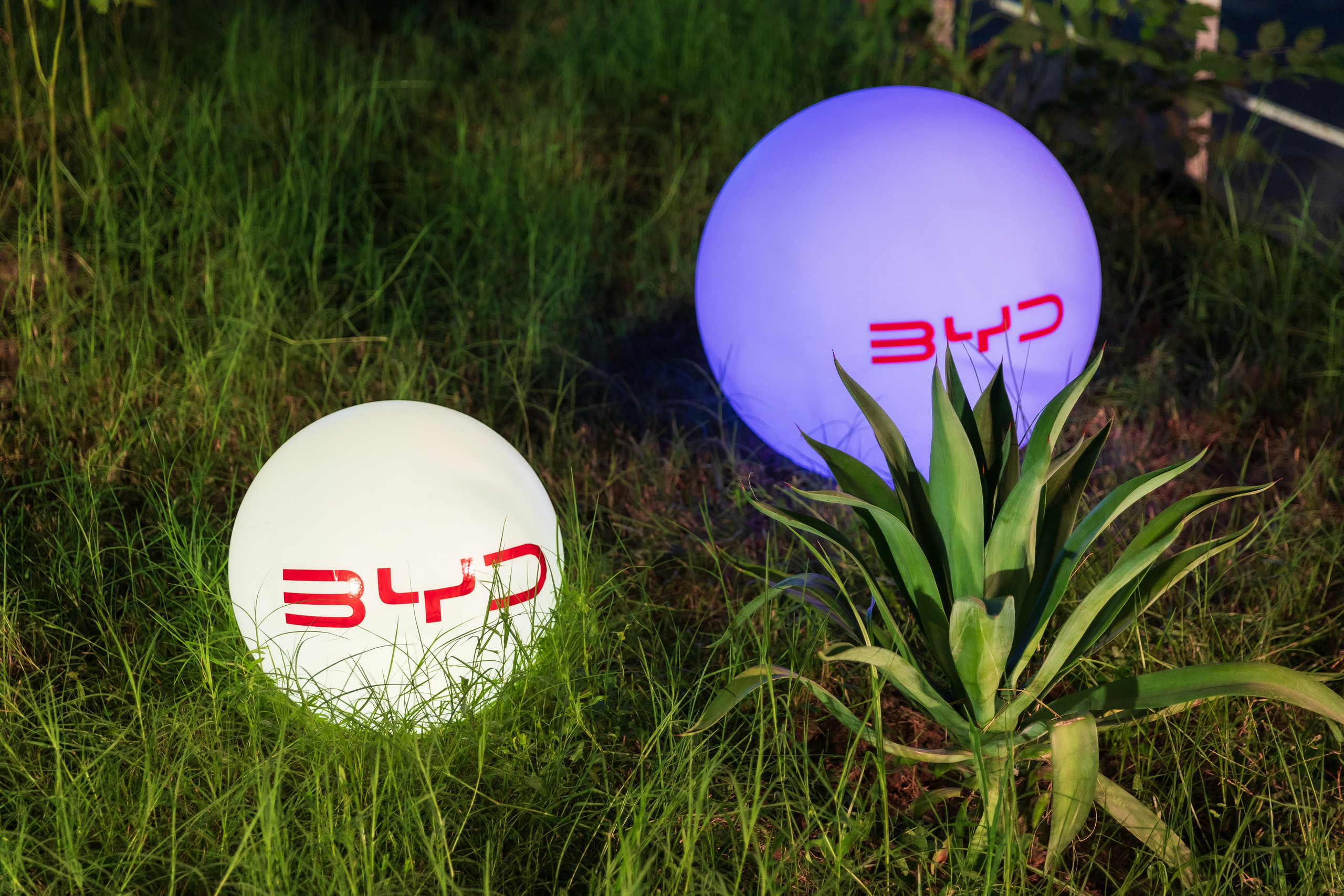 Презентация BYD E2. Профессиональная Фото-Видео Студия Геннадия Нестеренко | Ташкент и Весь Узбекистан