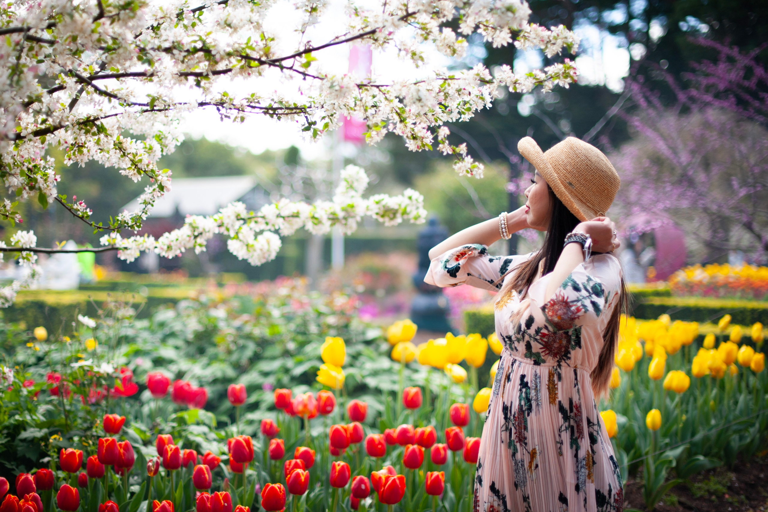 Alfera. Cindy Law | Vacation & Lifestyle Photographer in Melbourne