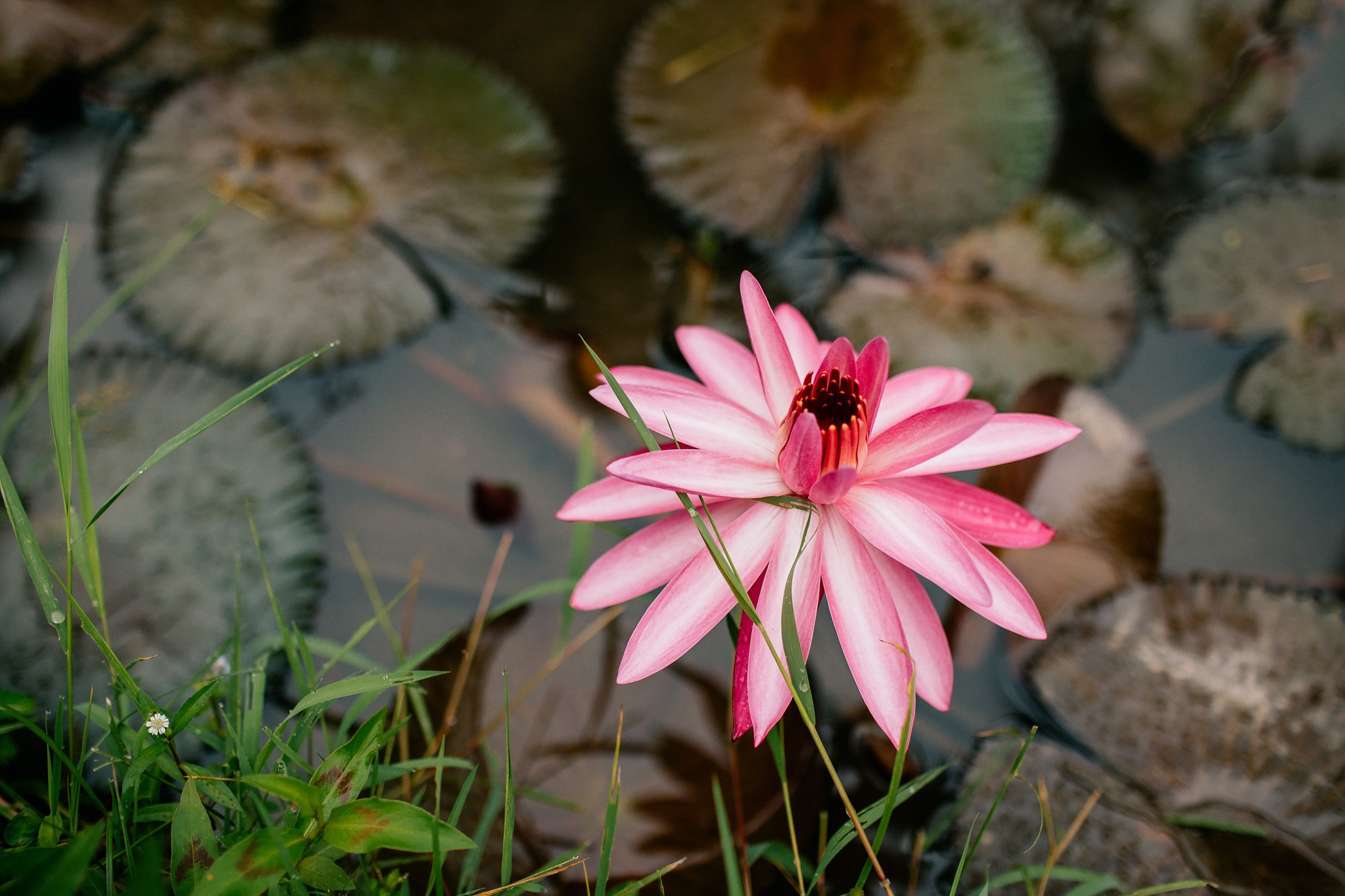 Rice terraces + secret temple. Getitfeel — Aesthetic Photography and Videography