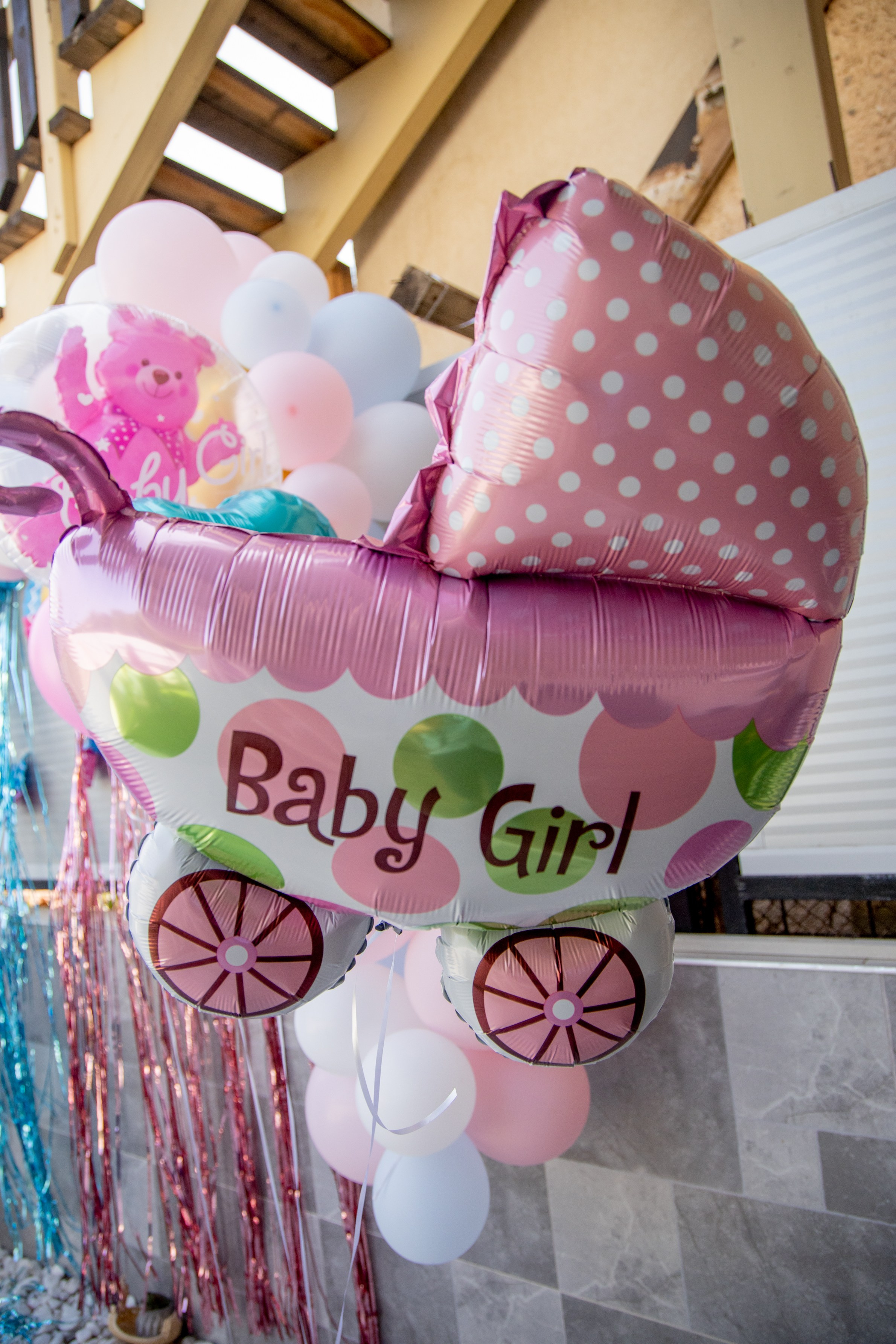 Gender Party for Alina and Michael. Home