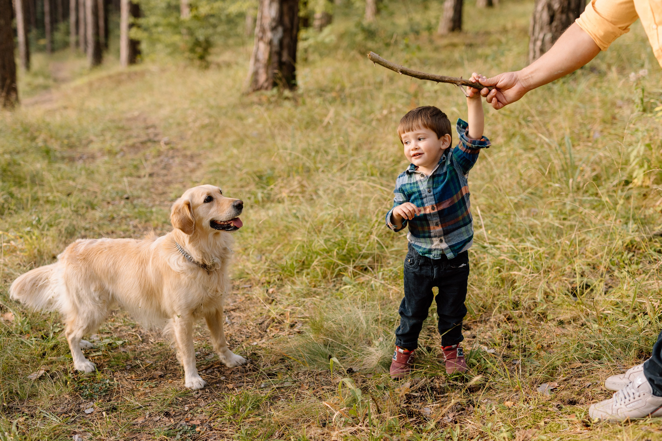 Sanziana, Daniel & Alexandru — Family. Main