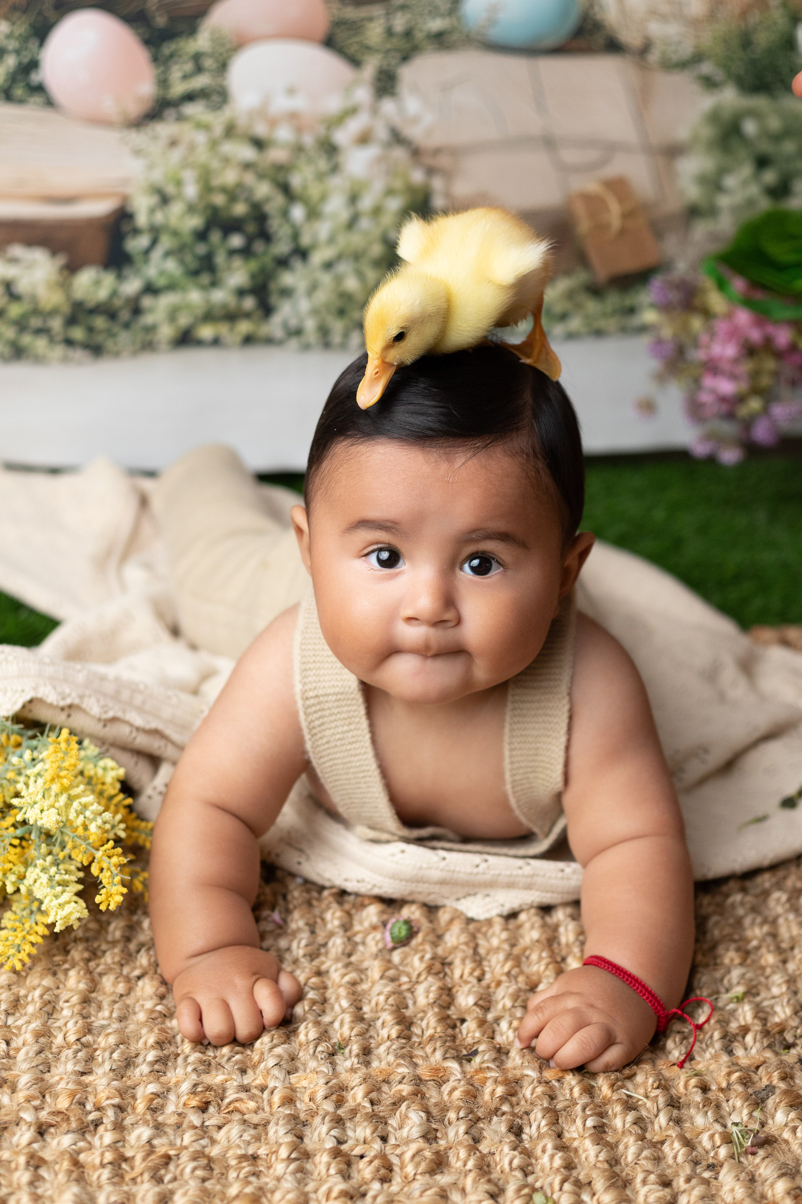 Holiday & Seasonal Minis. Mary Newborn Photo