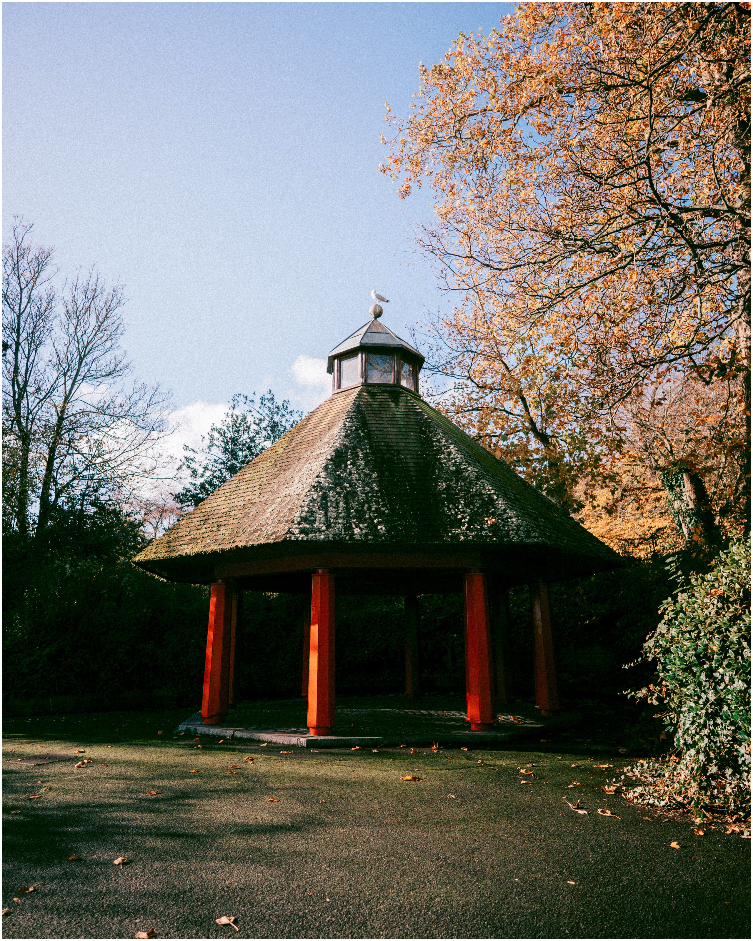 IRELAND. Inna Mendelson — Photographer