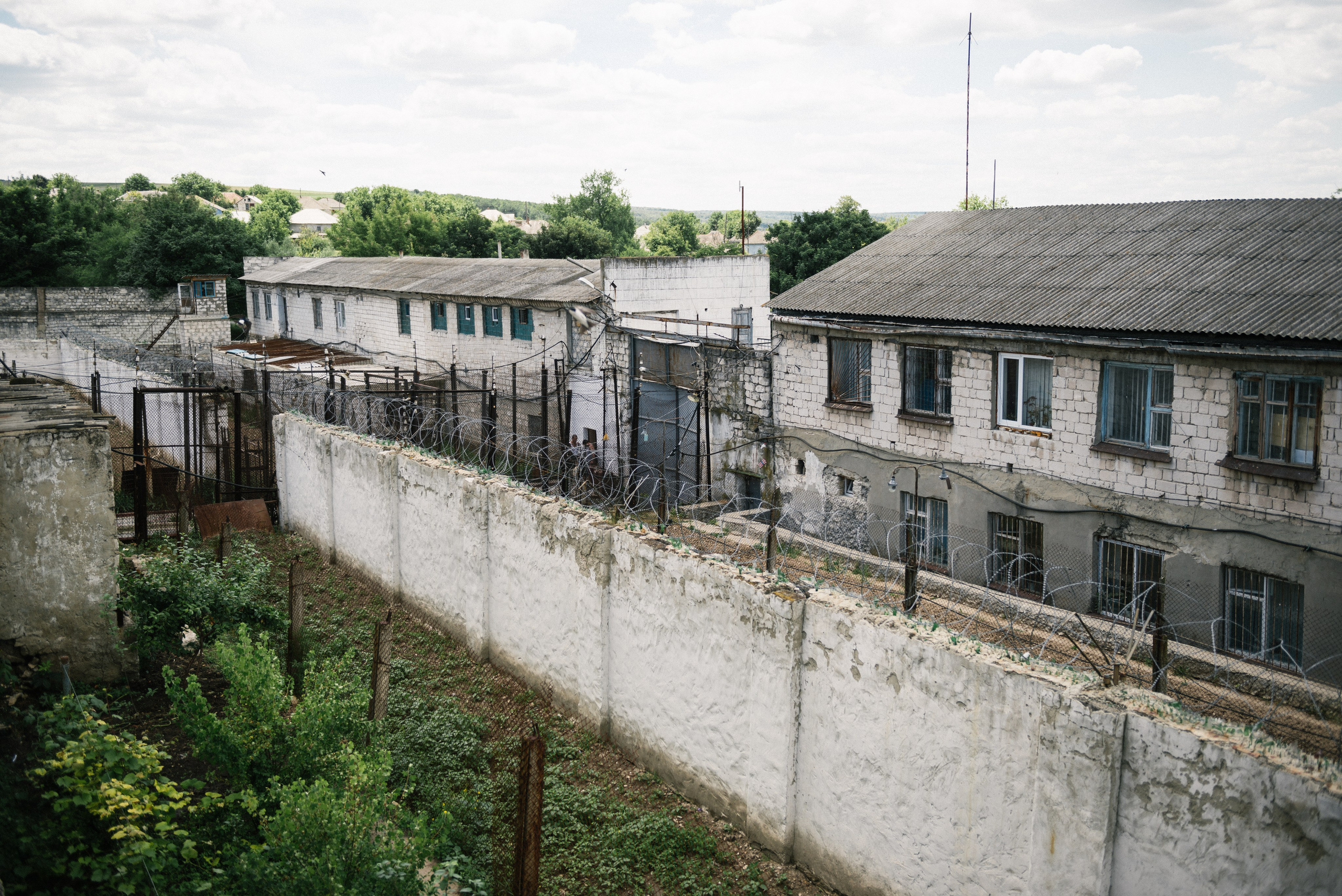 Penitenciarul Brănești. Dan Gutu