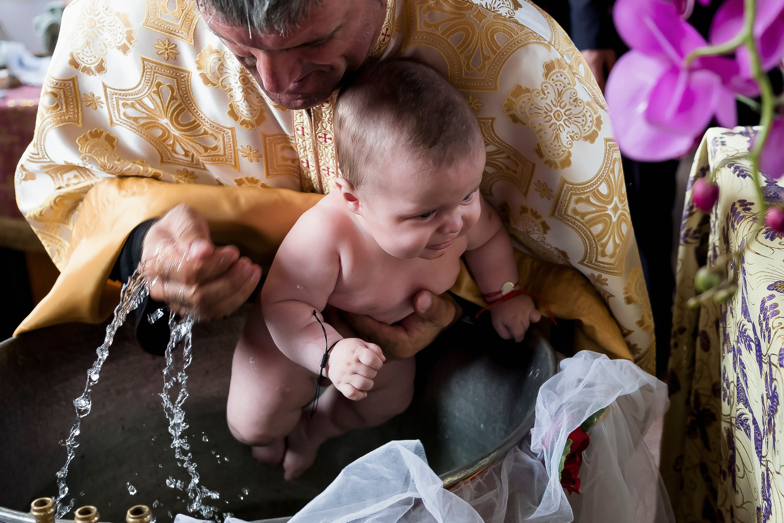 Fotografii Nunta + Botez Ciresul Salbatic. MDimaFotoStudio. Fotograf de nuntă, evenimente private și de familie