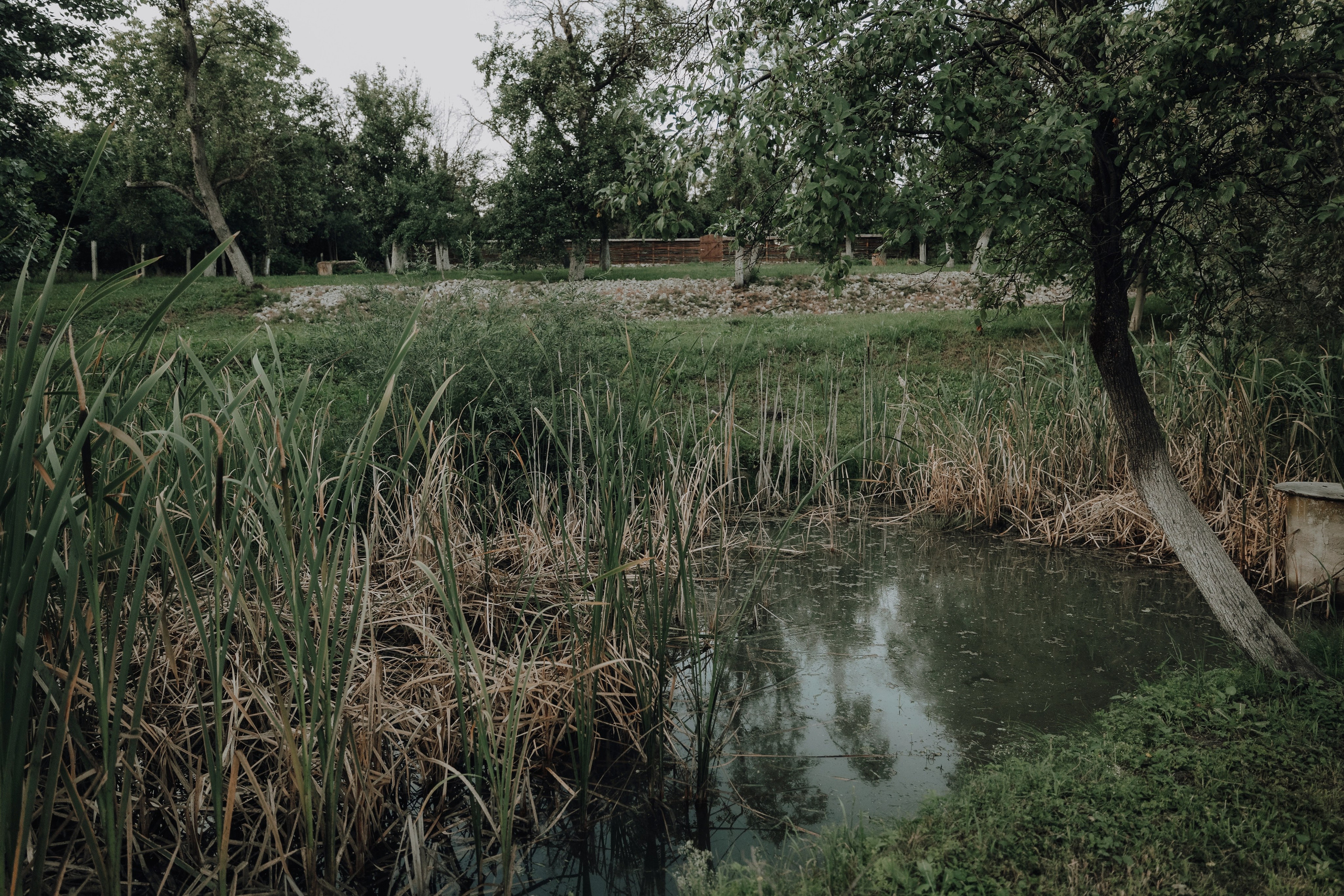 Agropensiunea Colev , locul unde începe evadarea perfectă. Emotions Photo Art