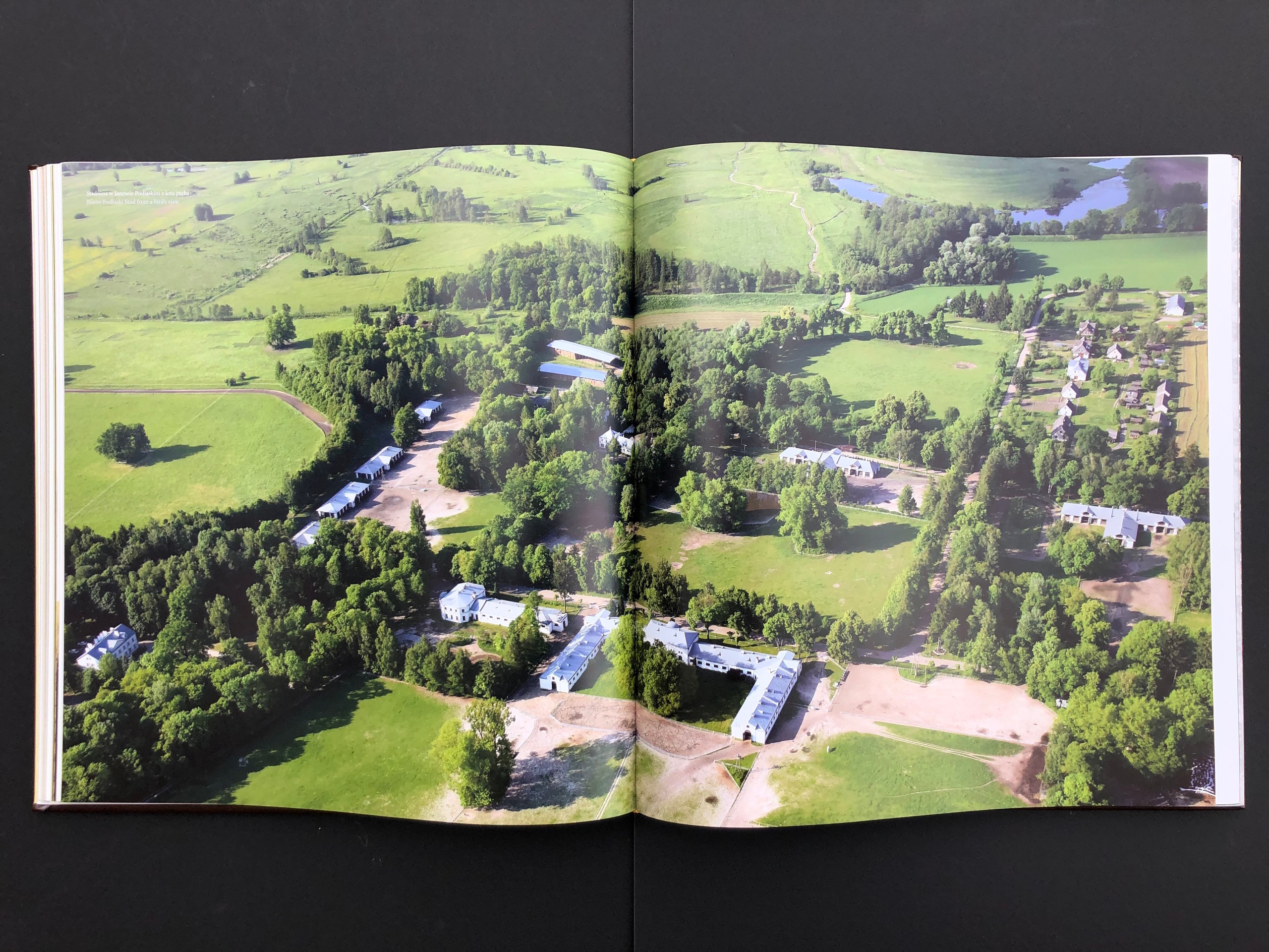 „KOŃ”. Andrzej Strumiłło - Wybitny polski artysta