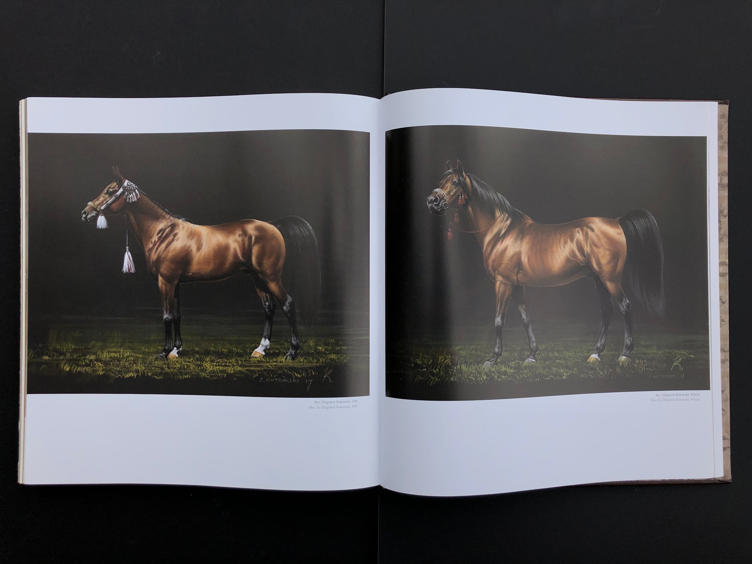 „KOŃ”. Andrzej Strumiłło - Wybitny polski artysta