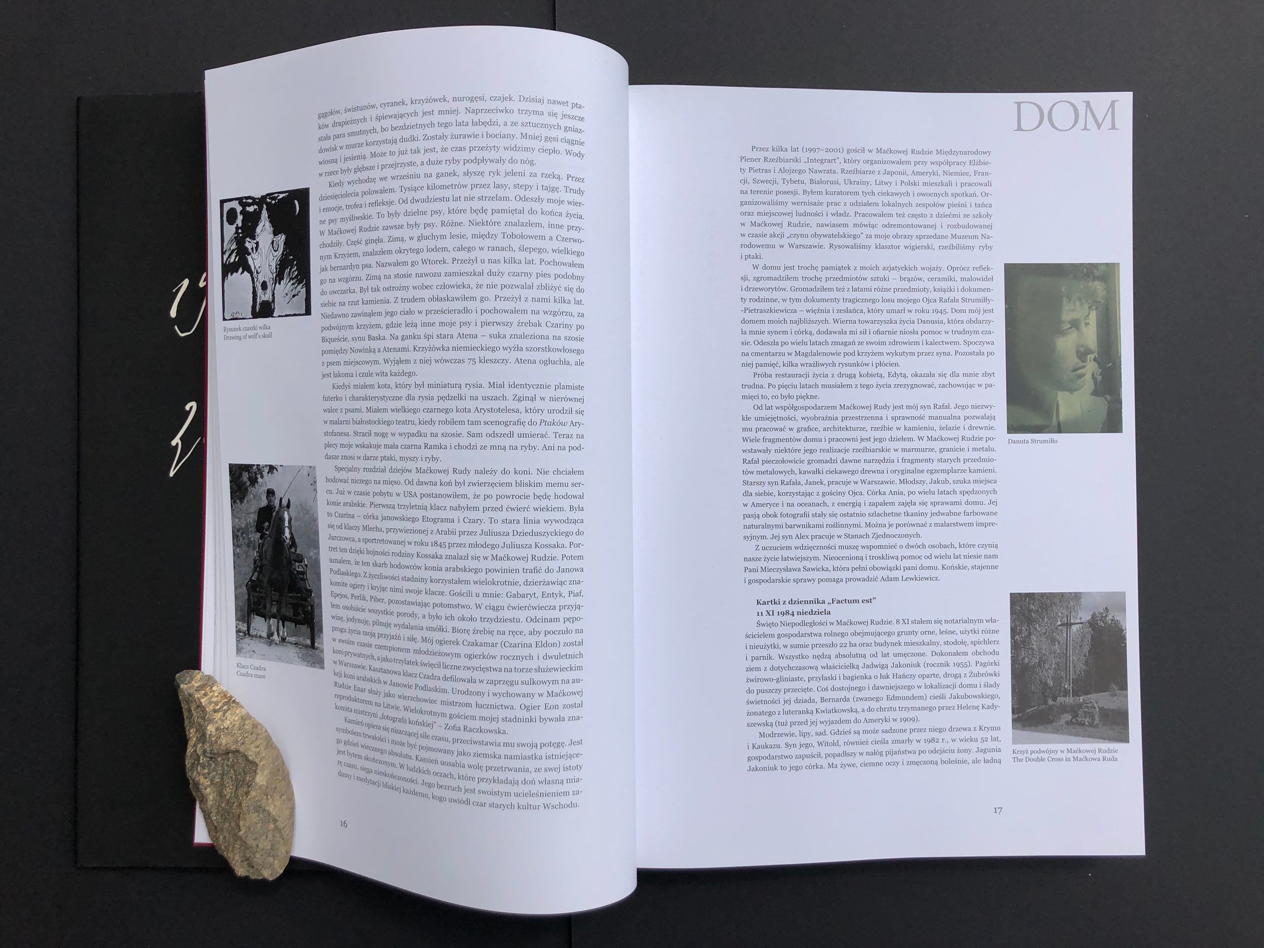 “HOME”. Andrzej Strumillo