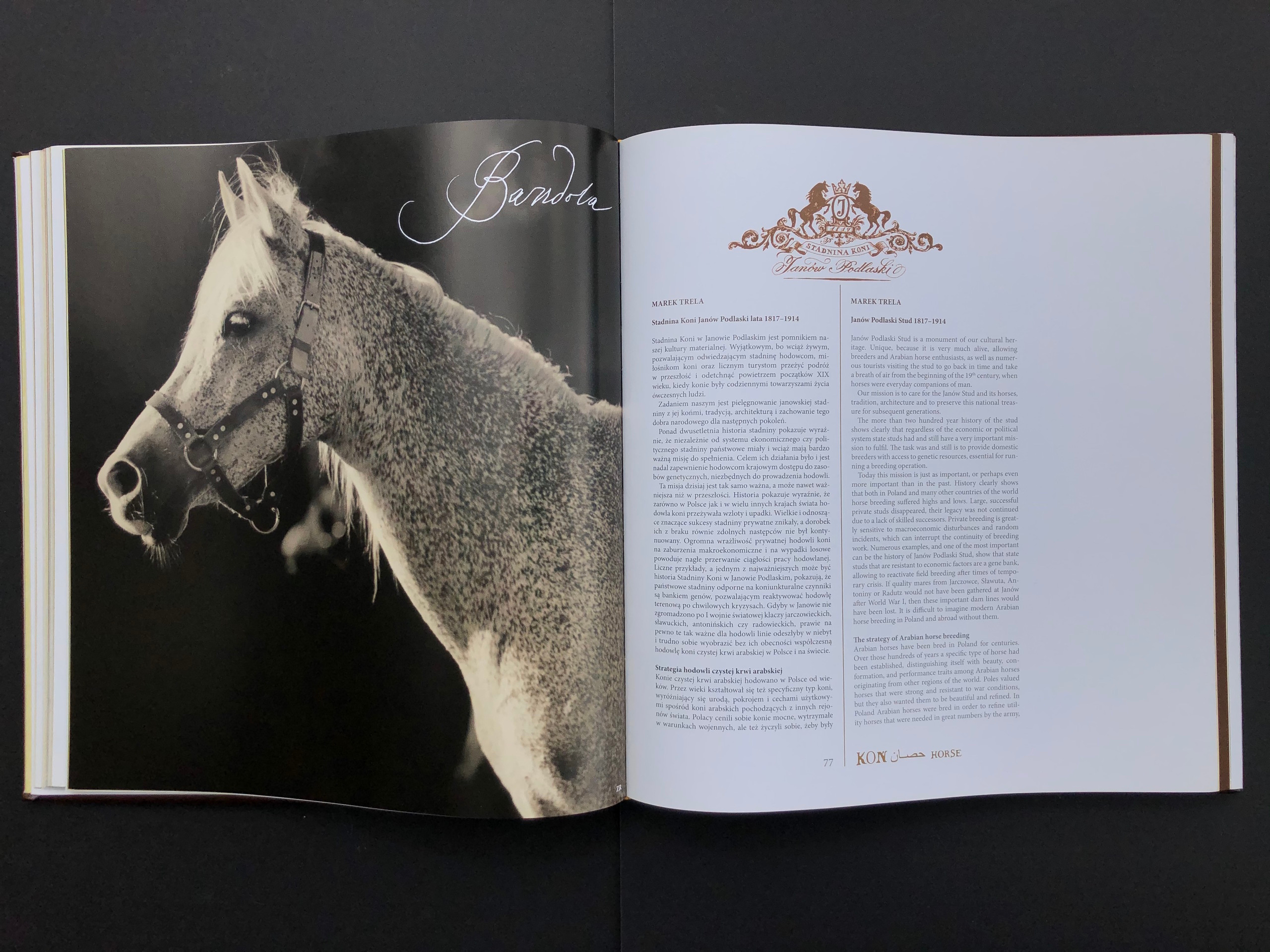 „KOŃ”. Andrzej Strumiłło - Wybitny polski artysta