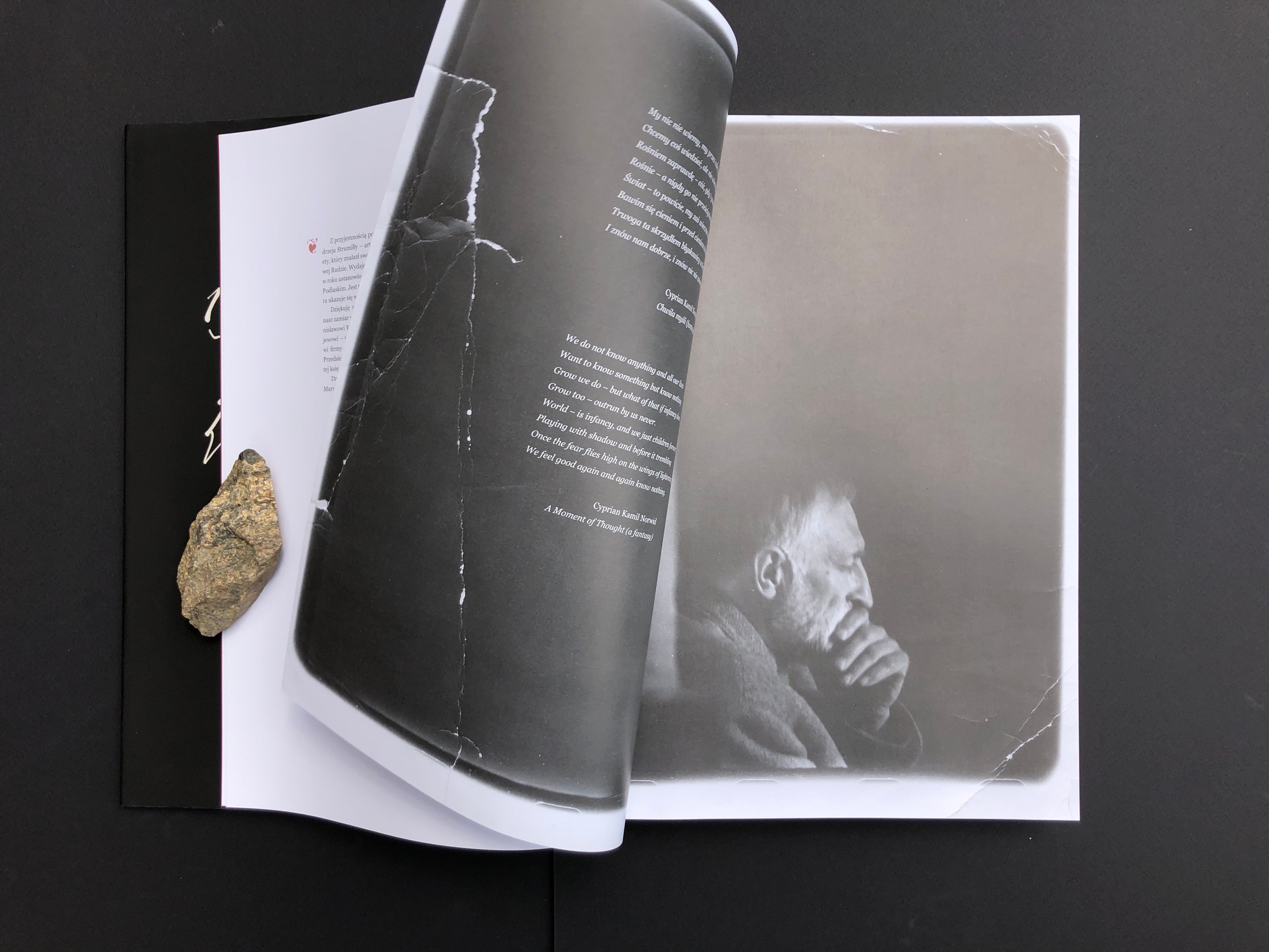 “HOME”. Andrzej Strumillo