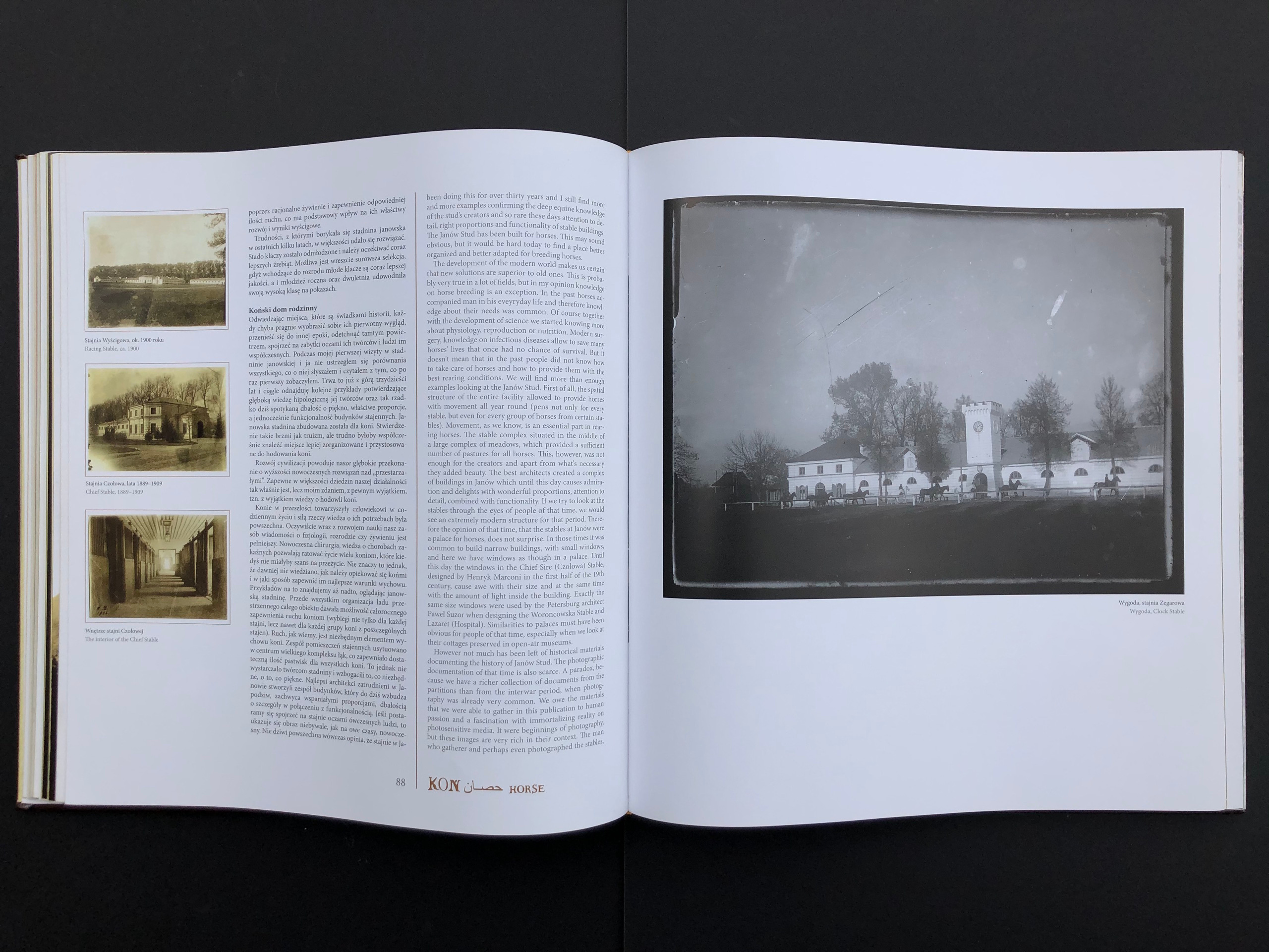 „KOŃ”. Andrzej Strumiłło - Wybitny polski artysta